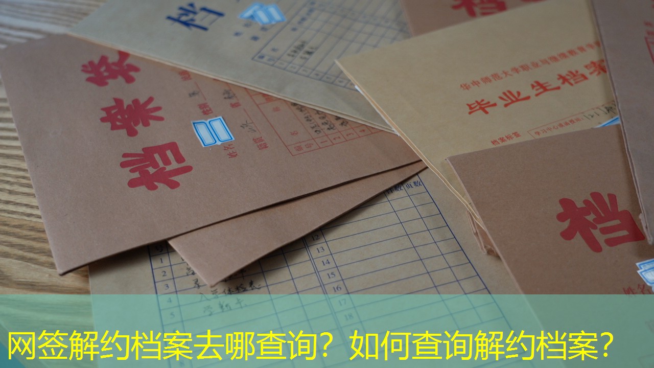 档案查询