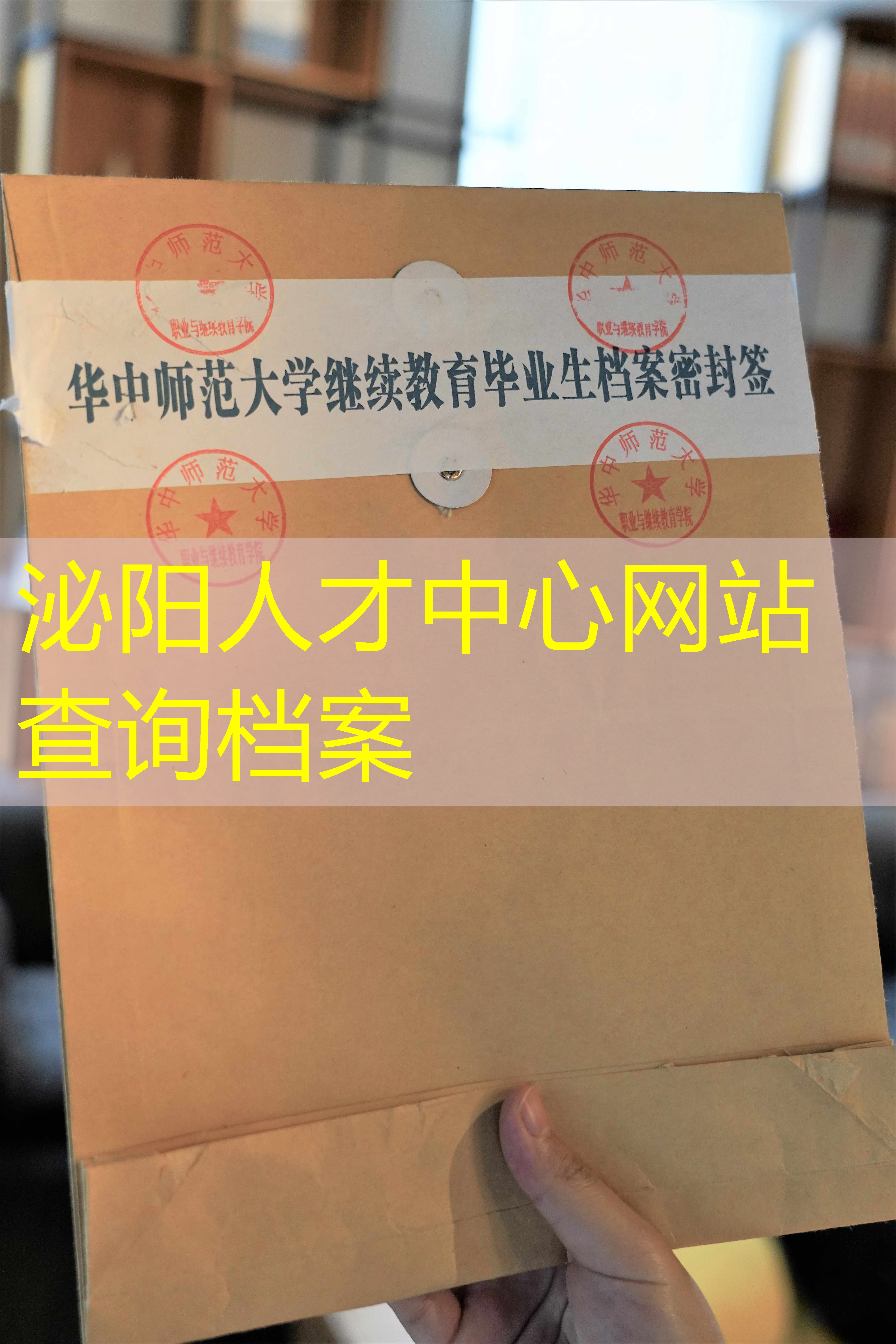 档案查询
