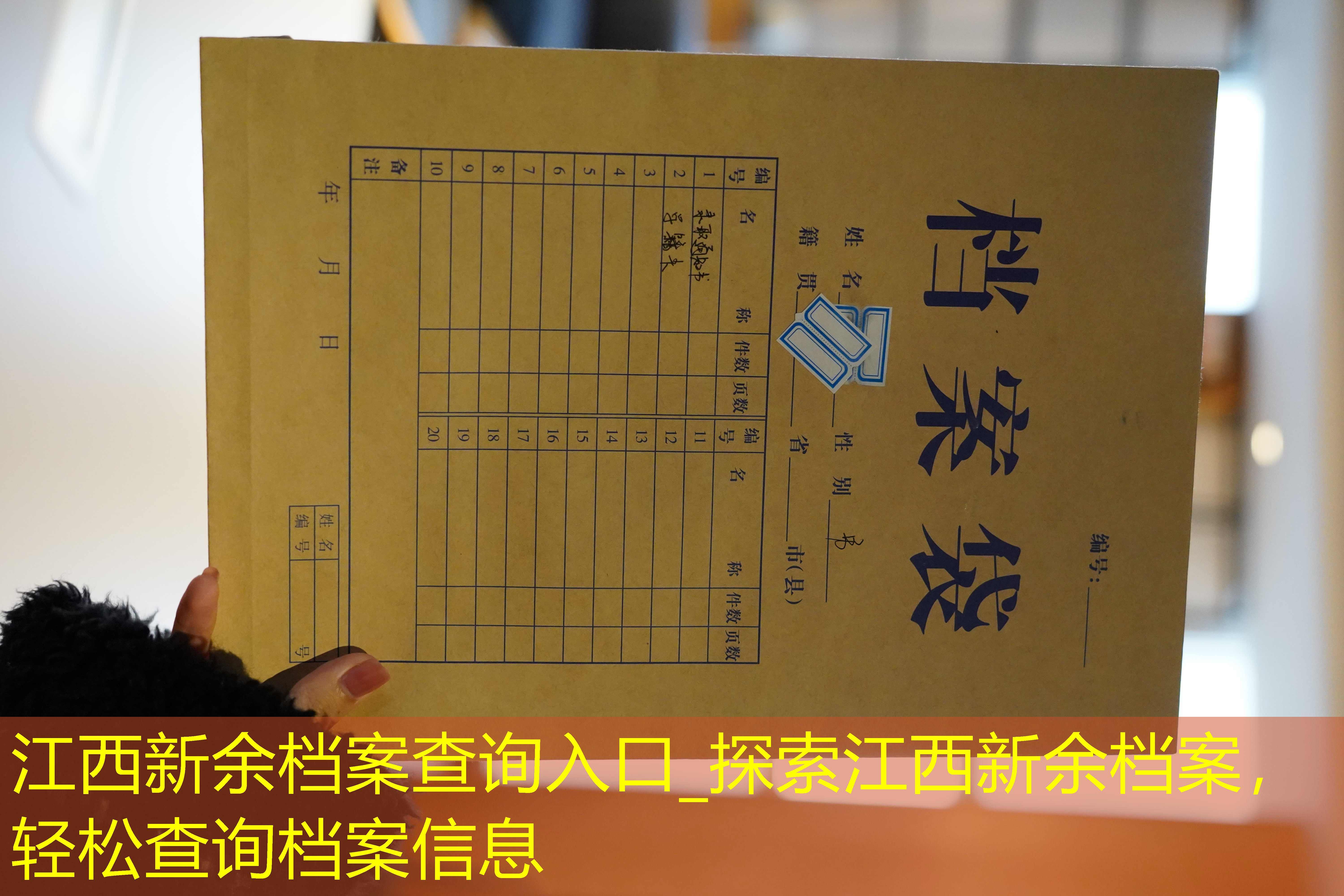 档案查询