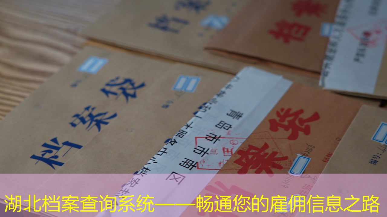 档案查询