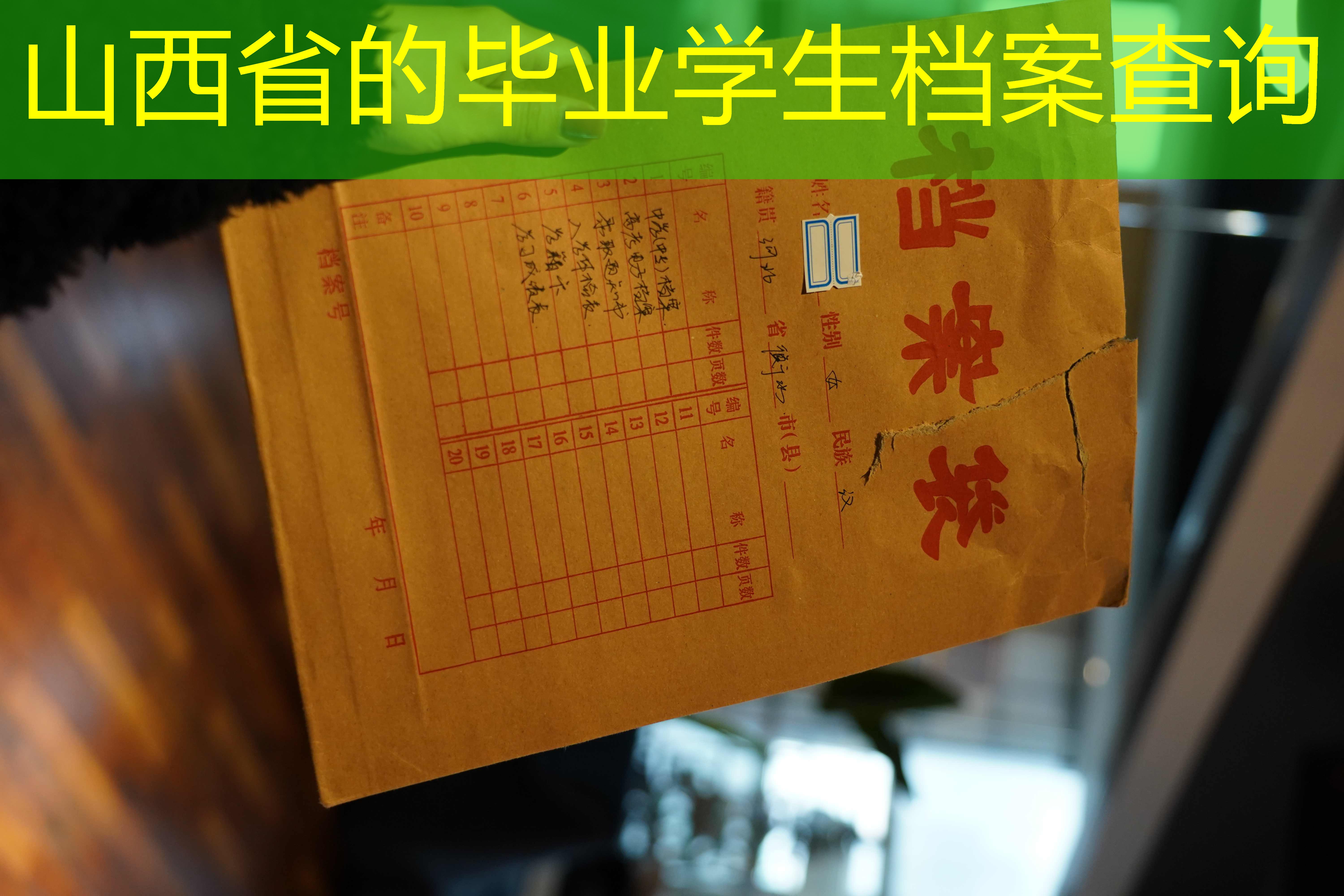 档案查询