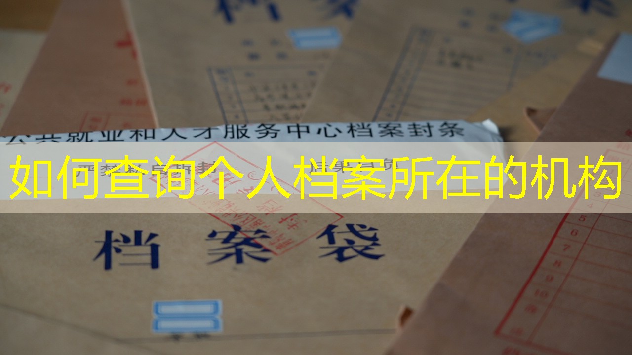 档案查询