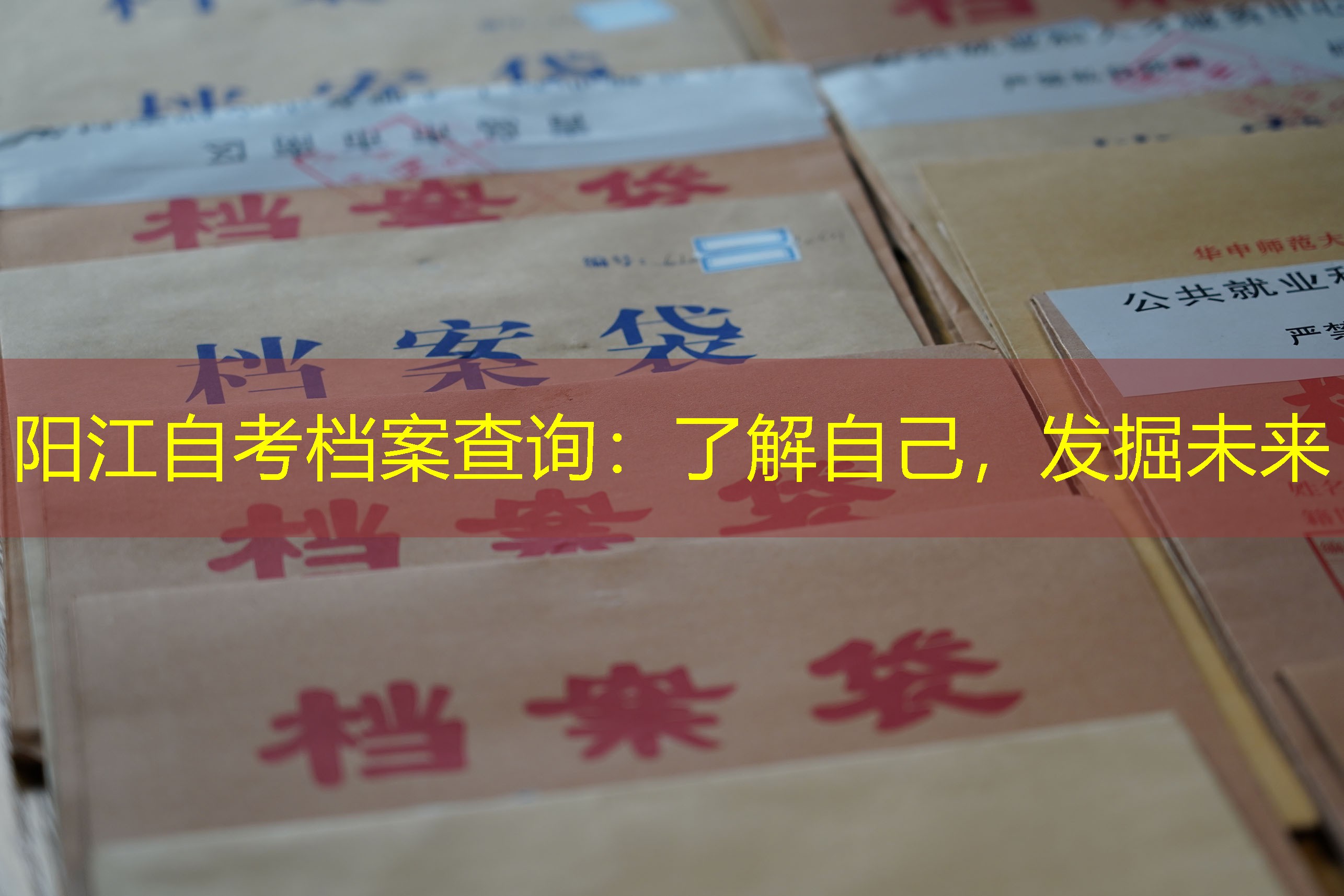 档案查询