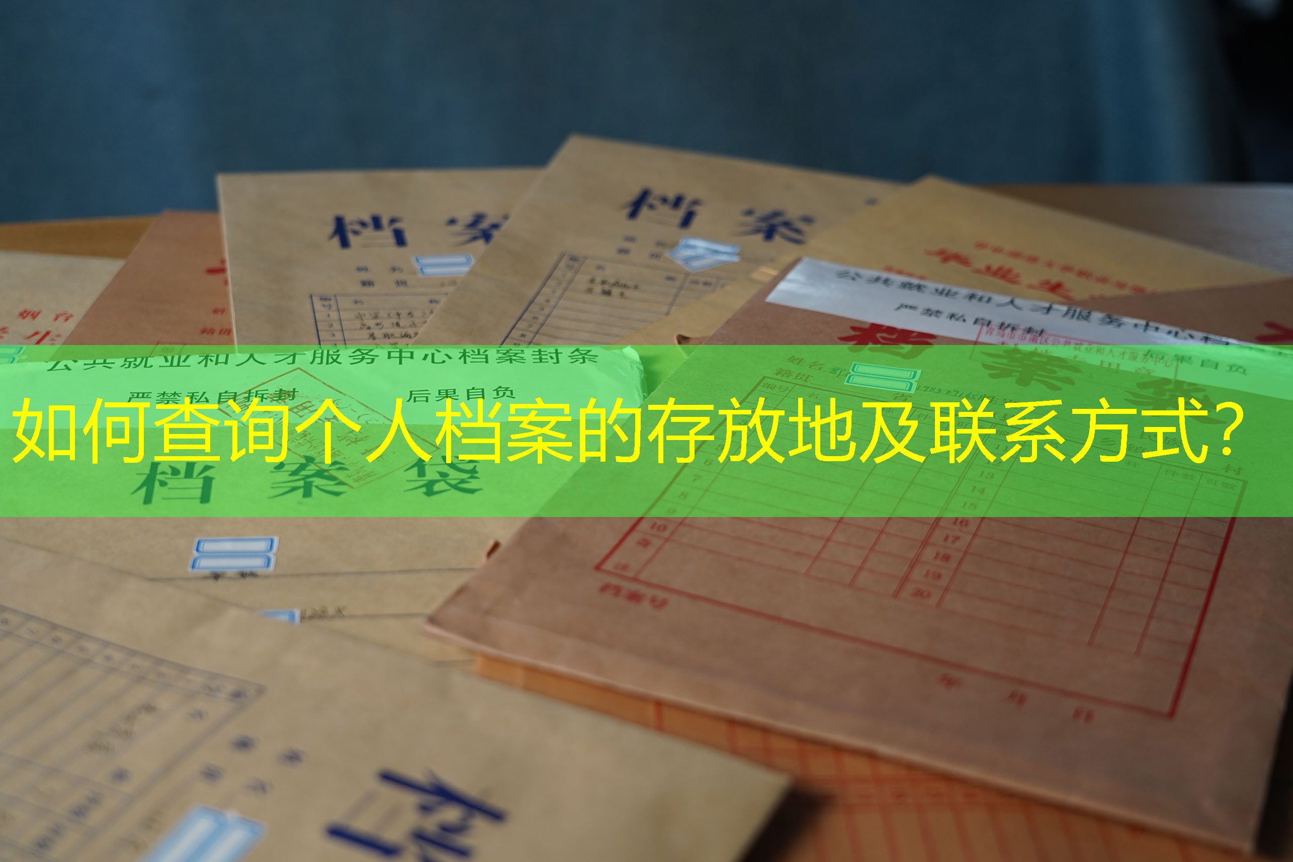 档案查询