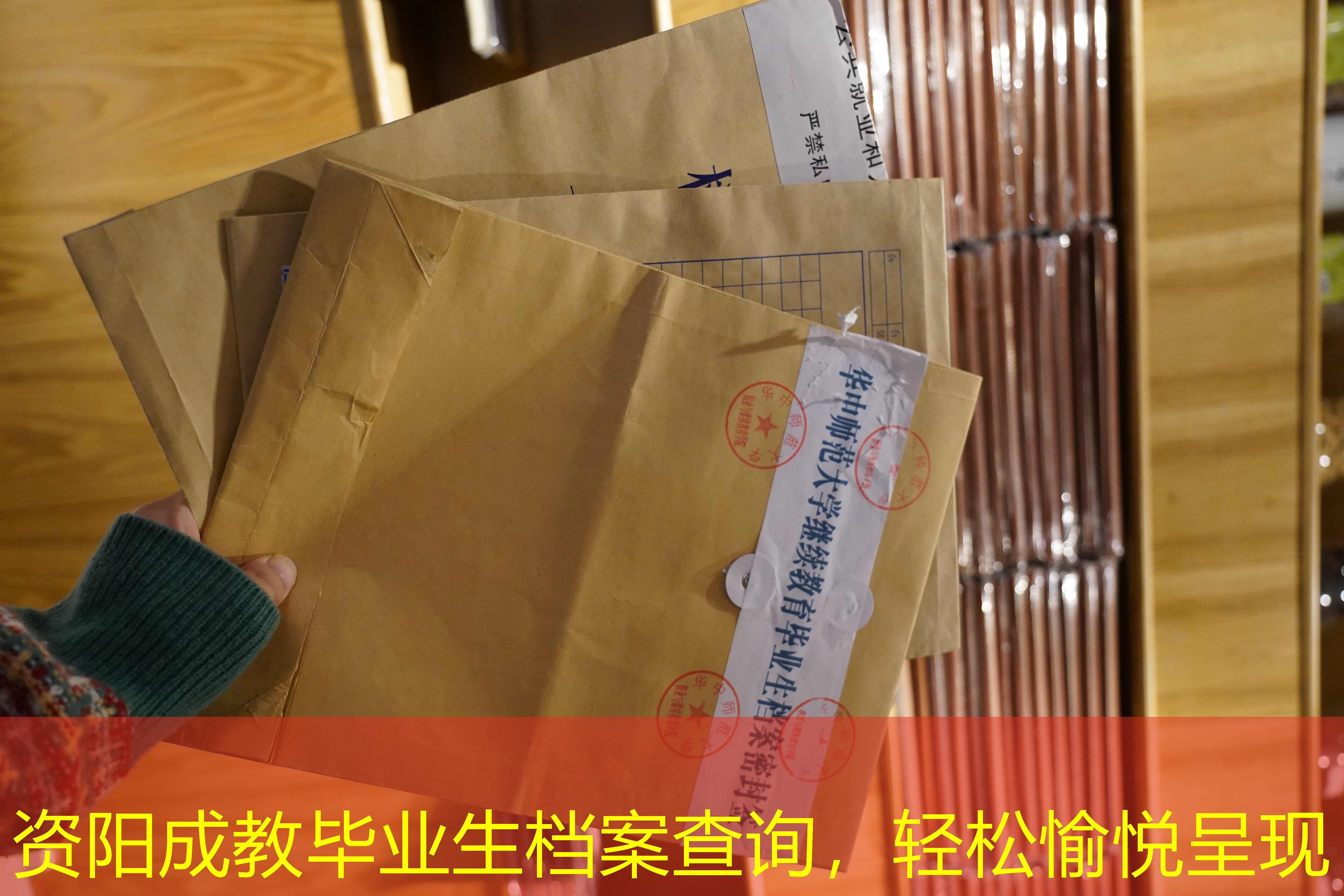 档案查询