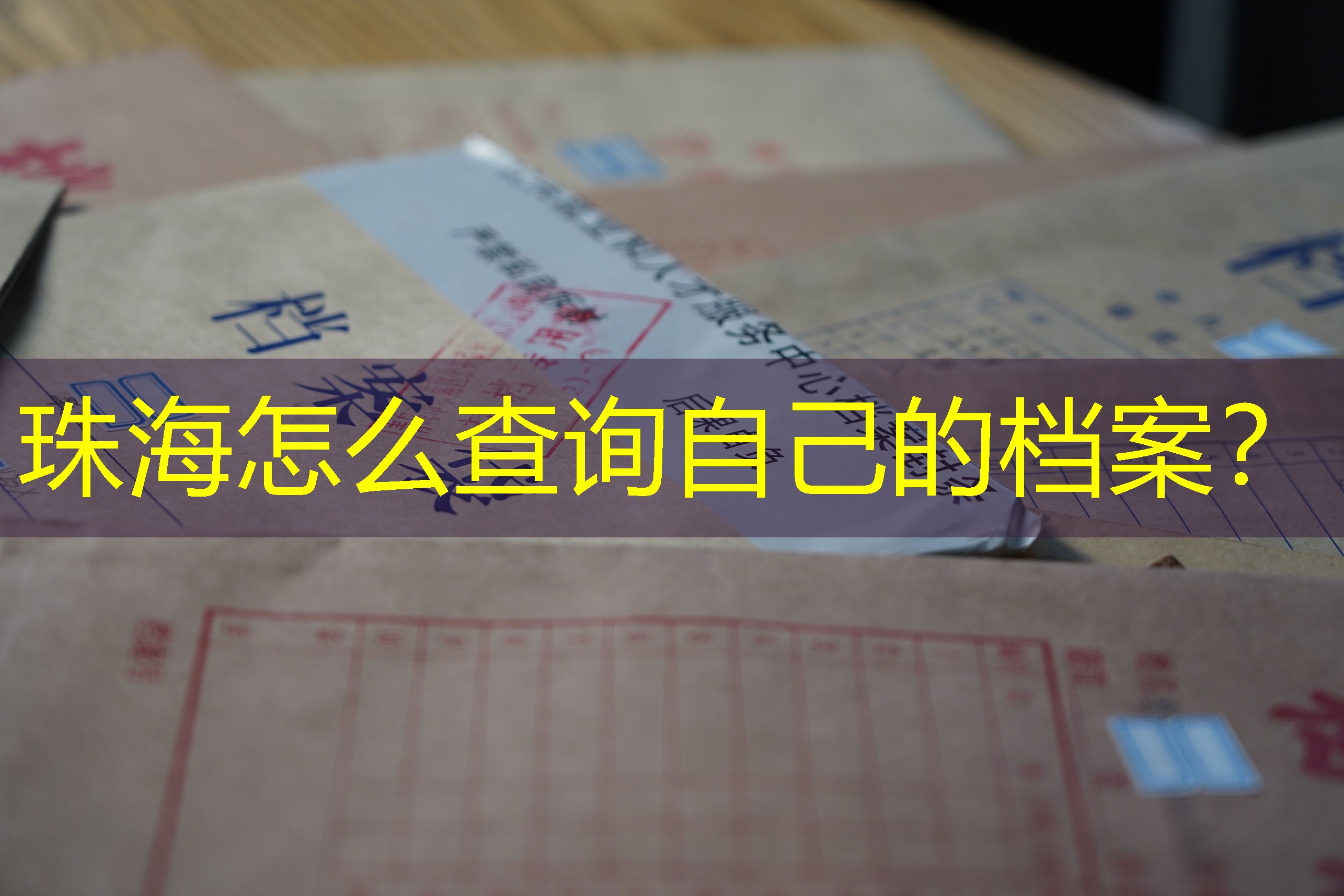 档案查询