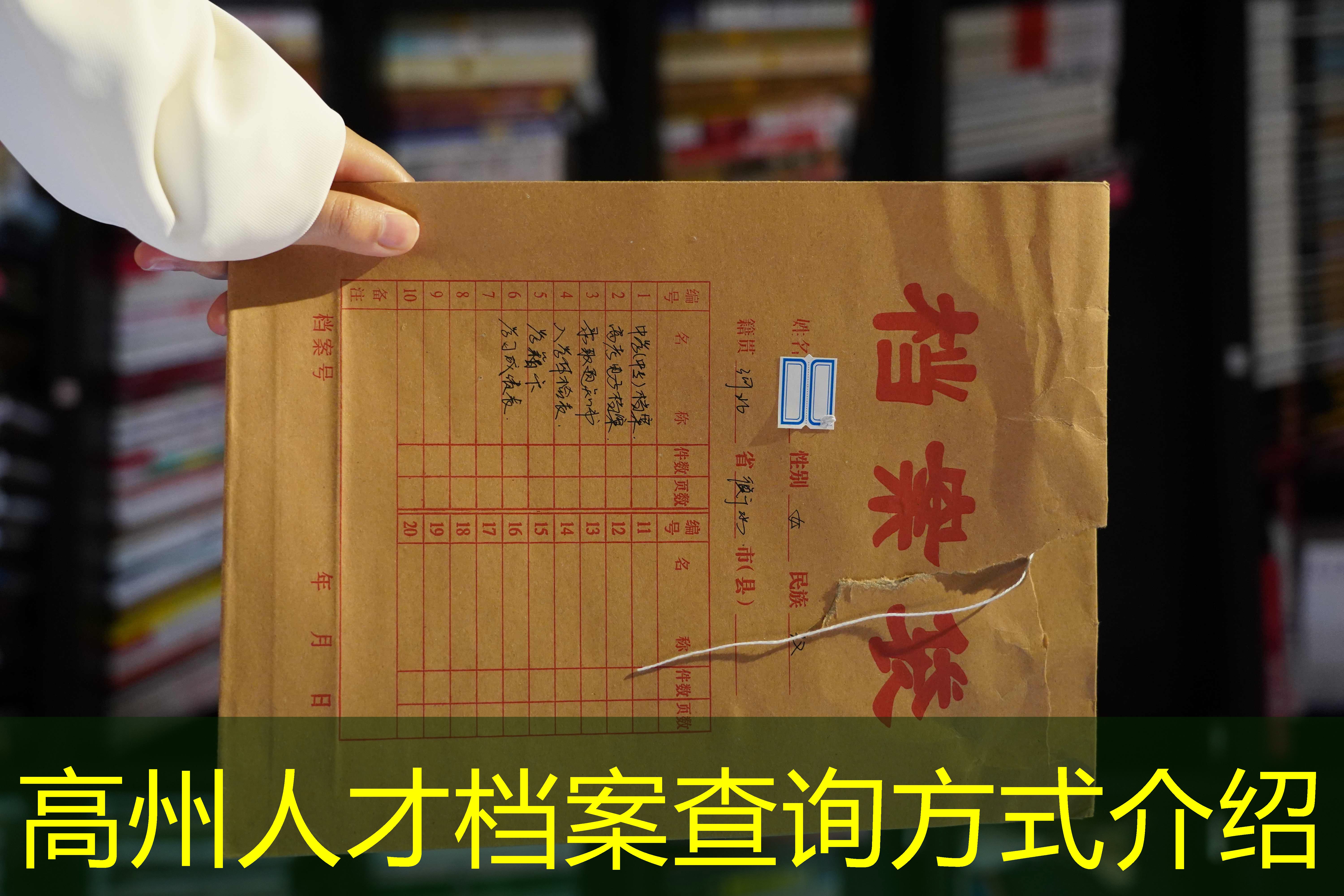 档案查询