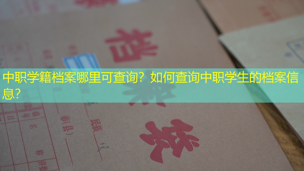 档案查询