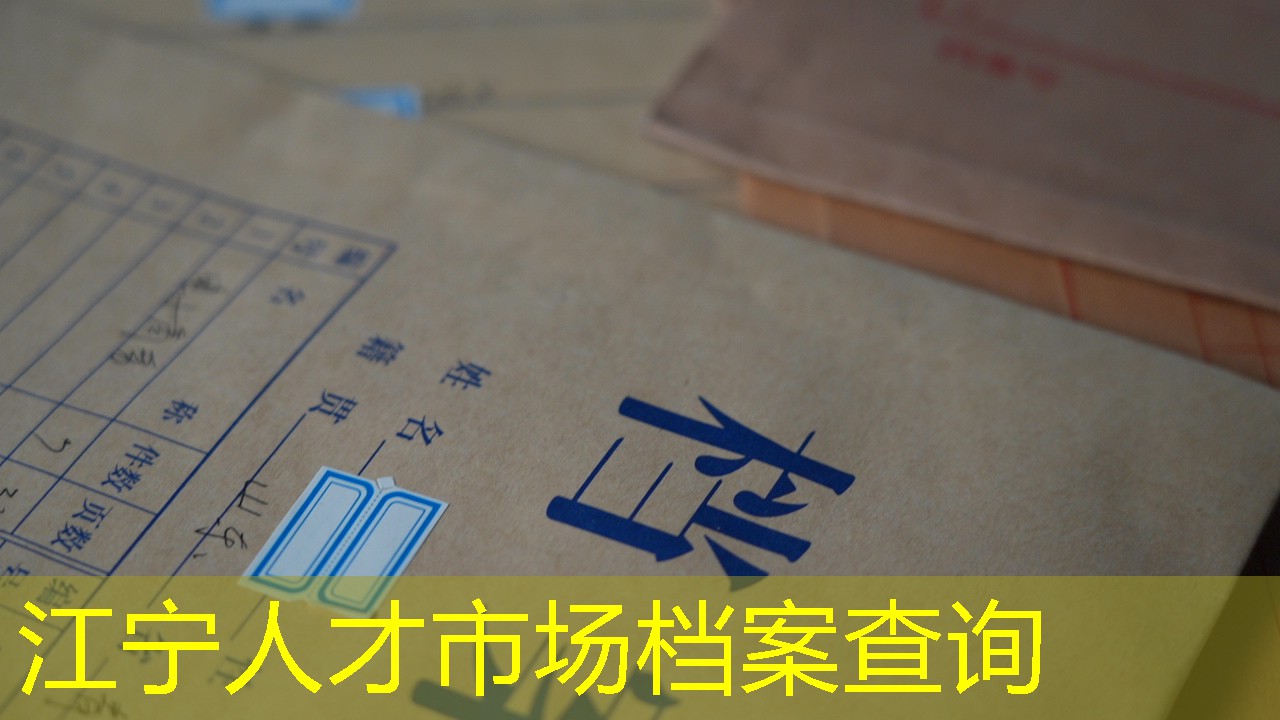 档案查询
