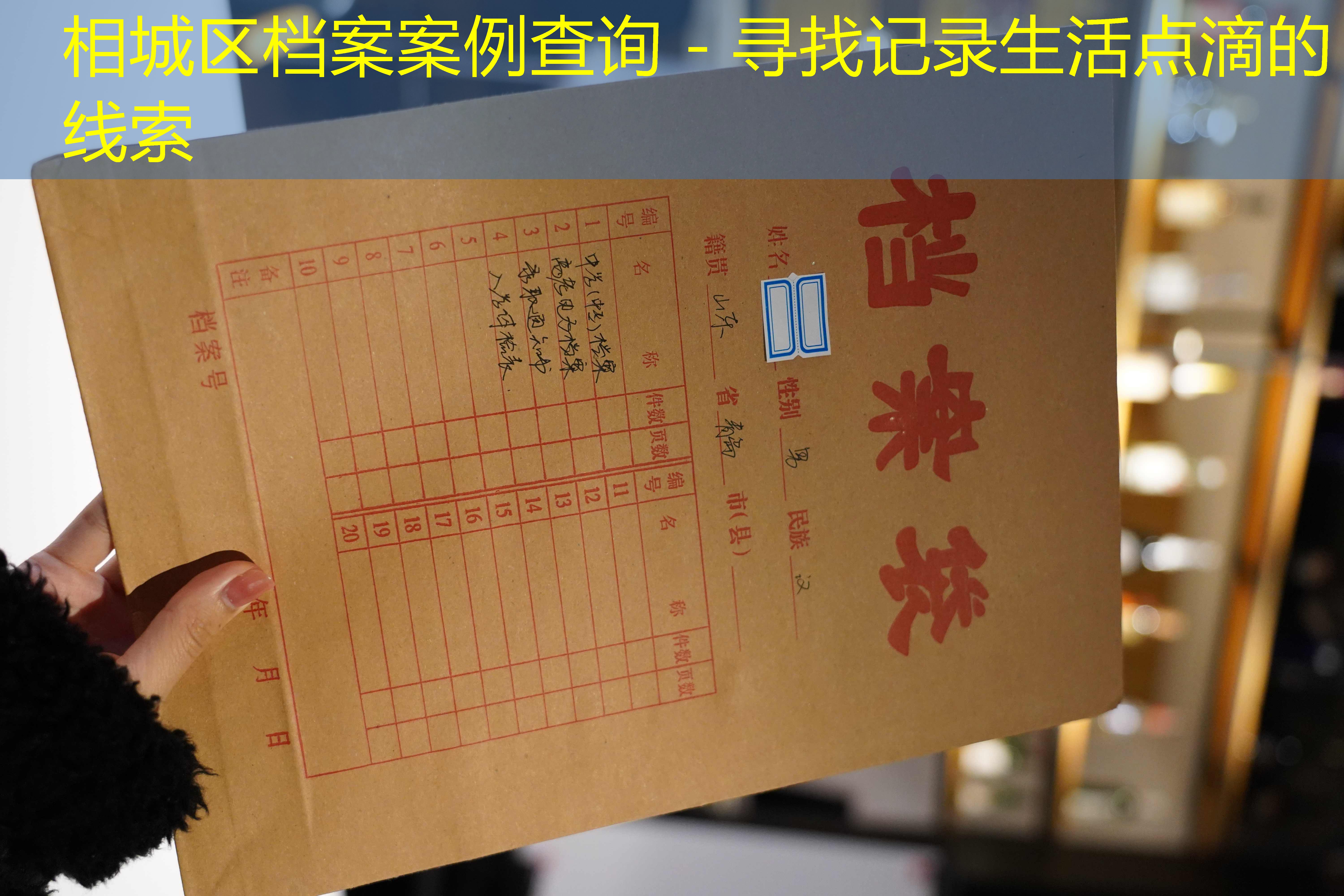 档案查询
