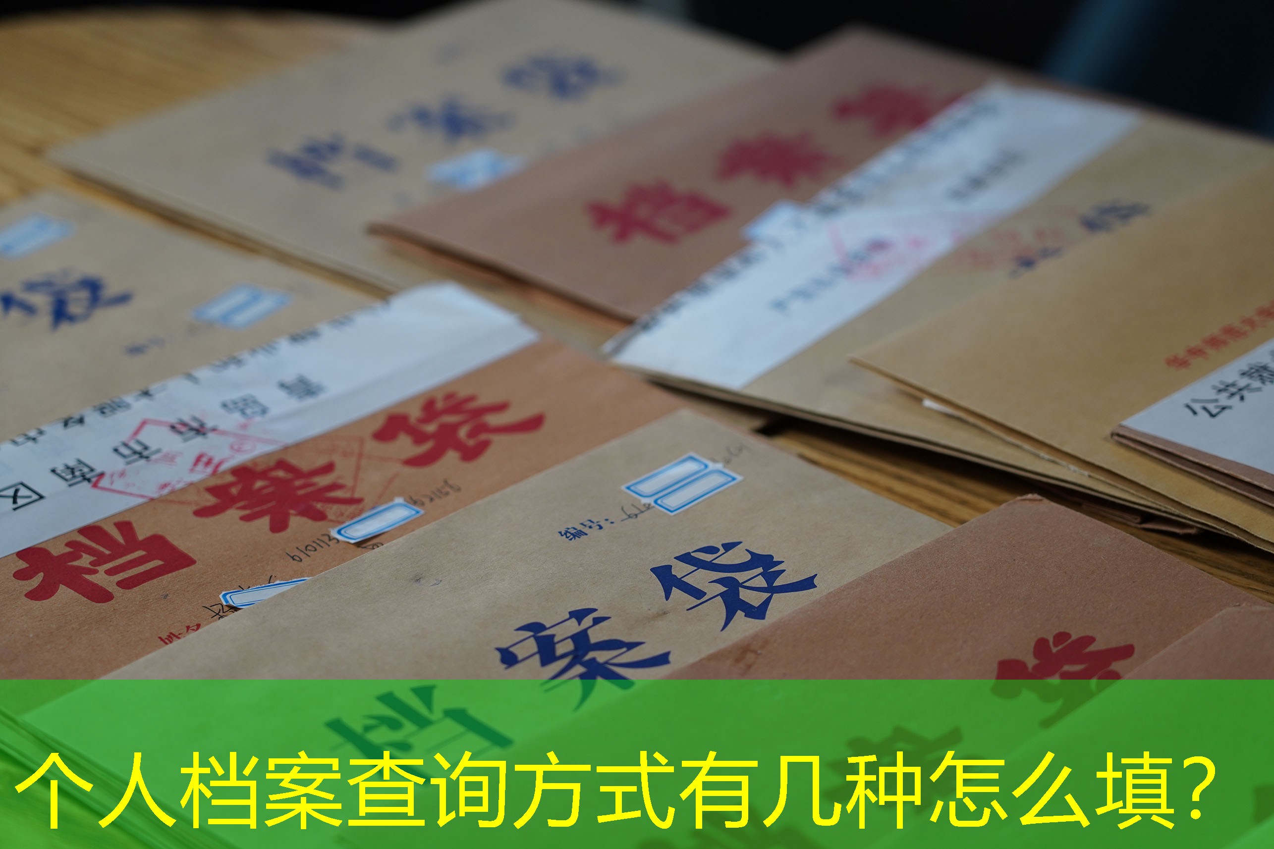 档案查询