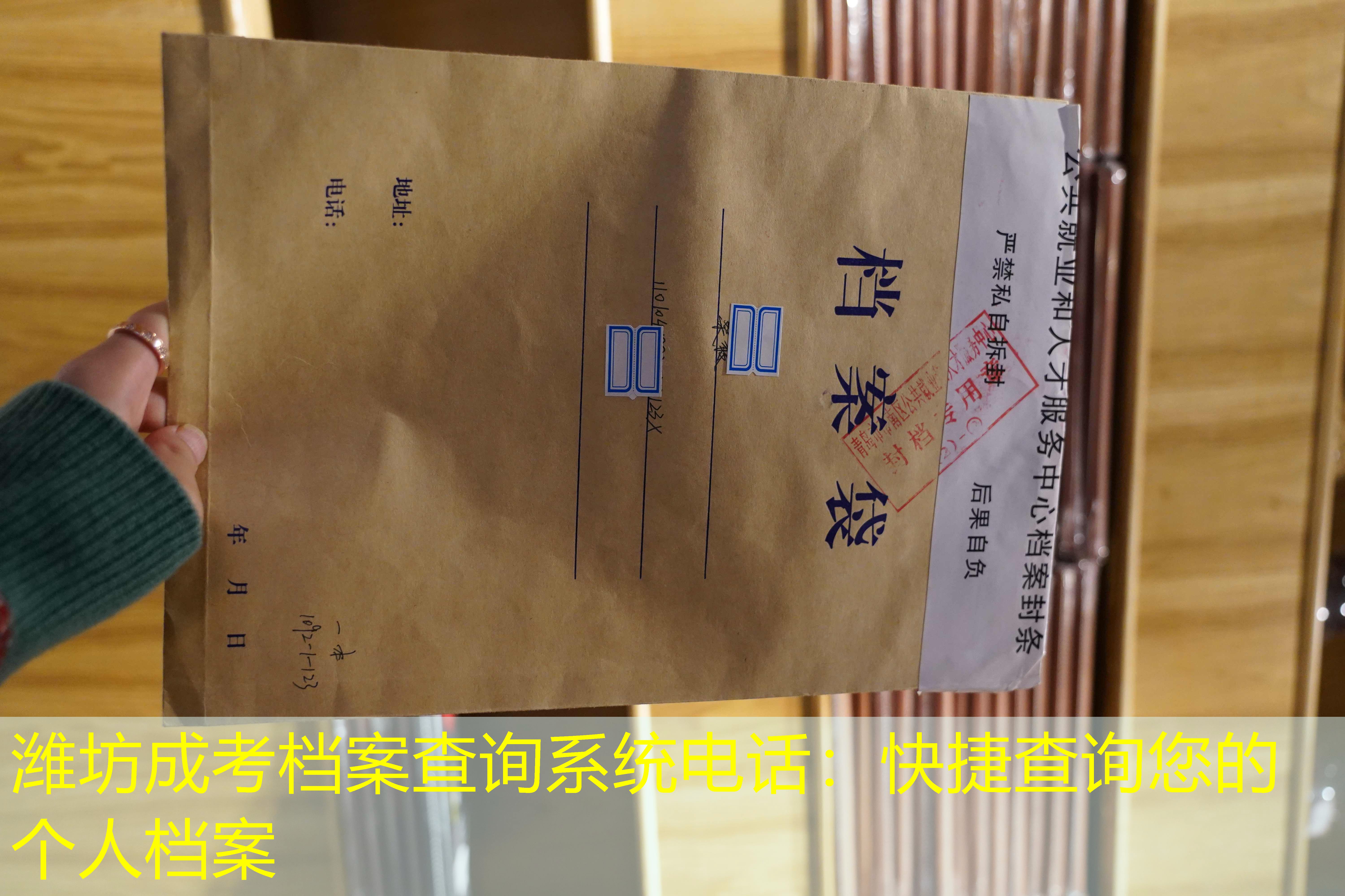 档案查询