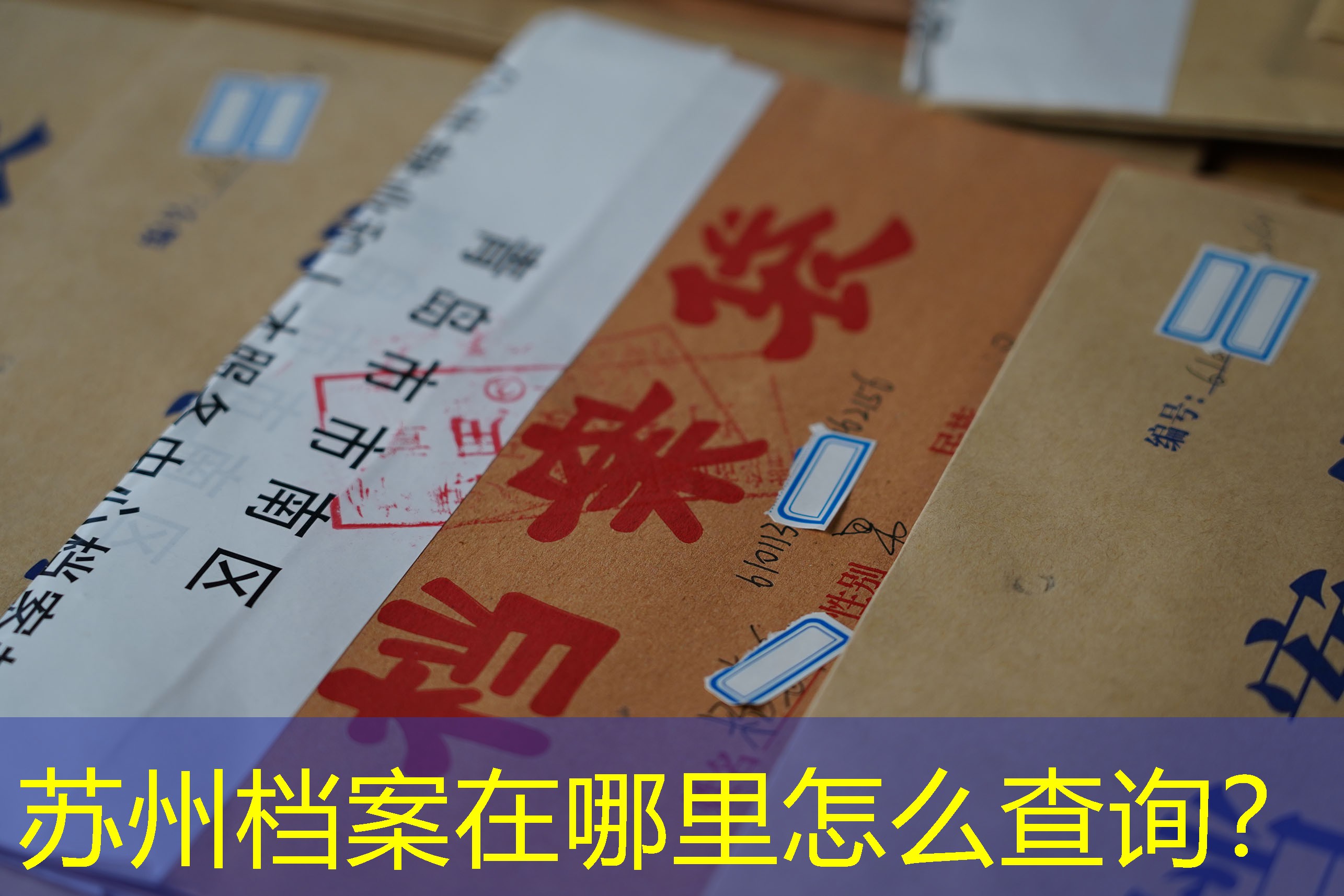 档案查询