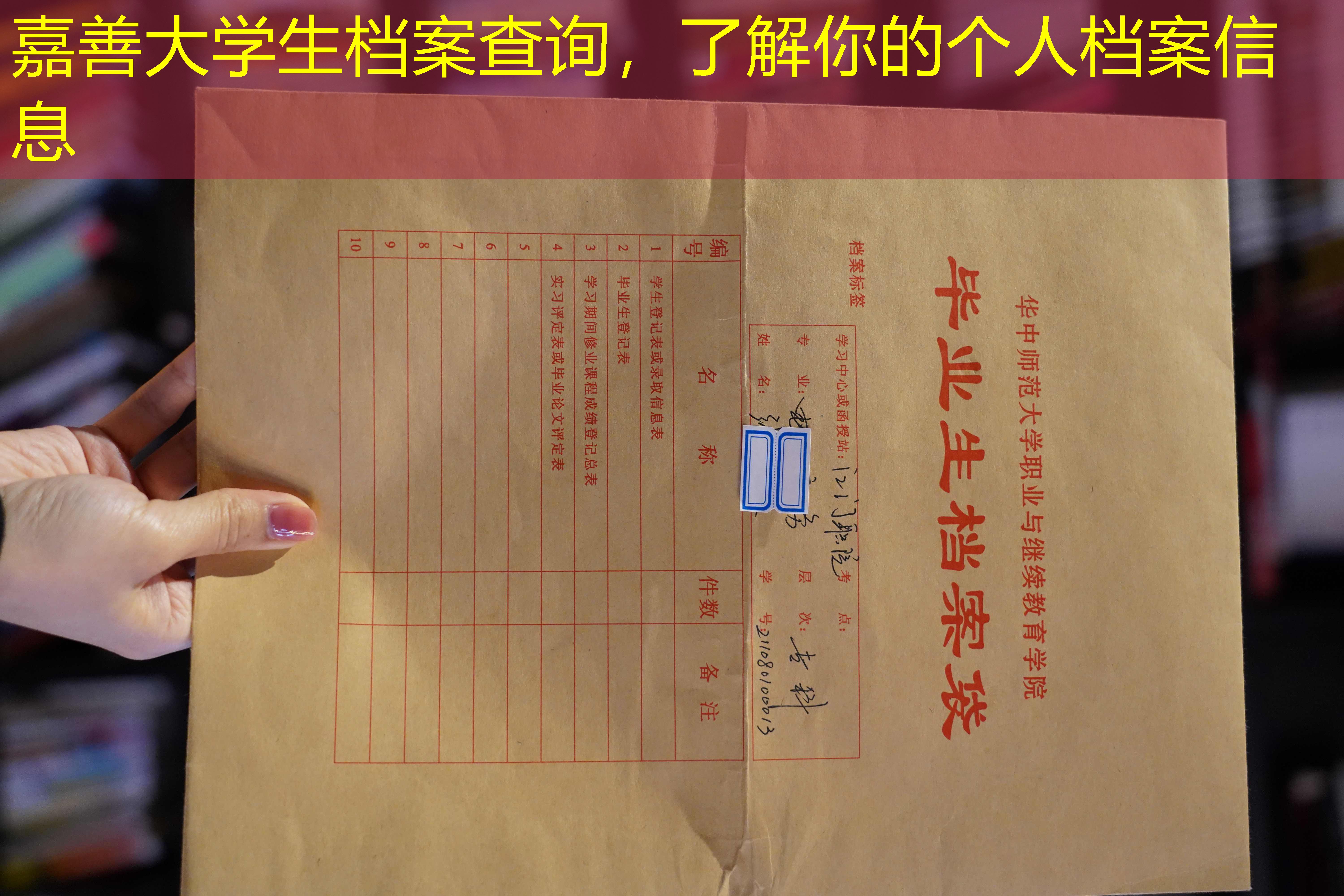 档案查询
