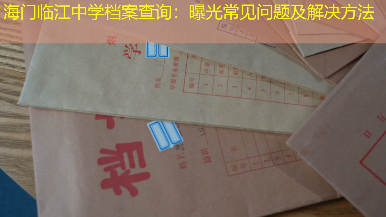 档案查询
