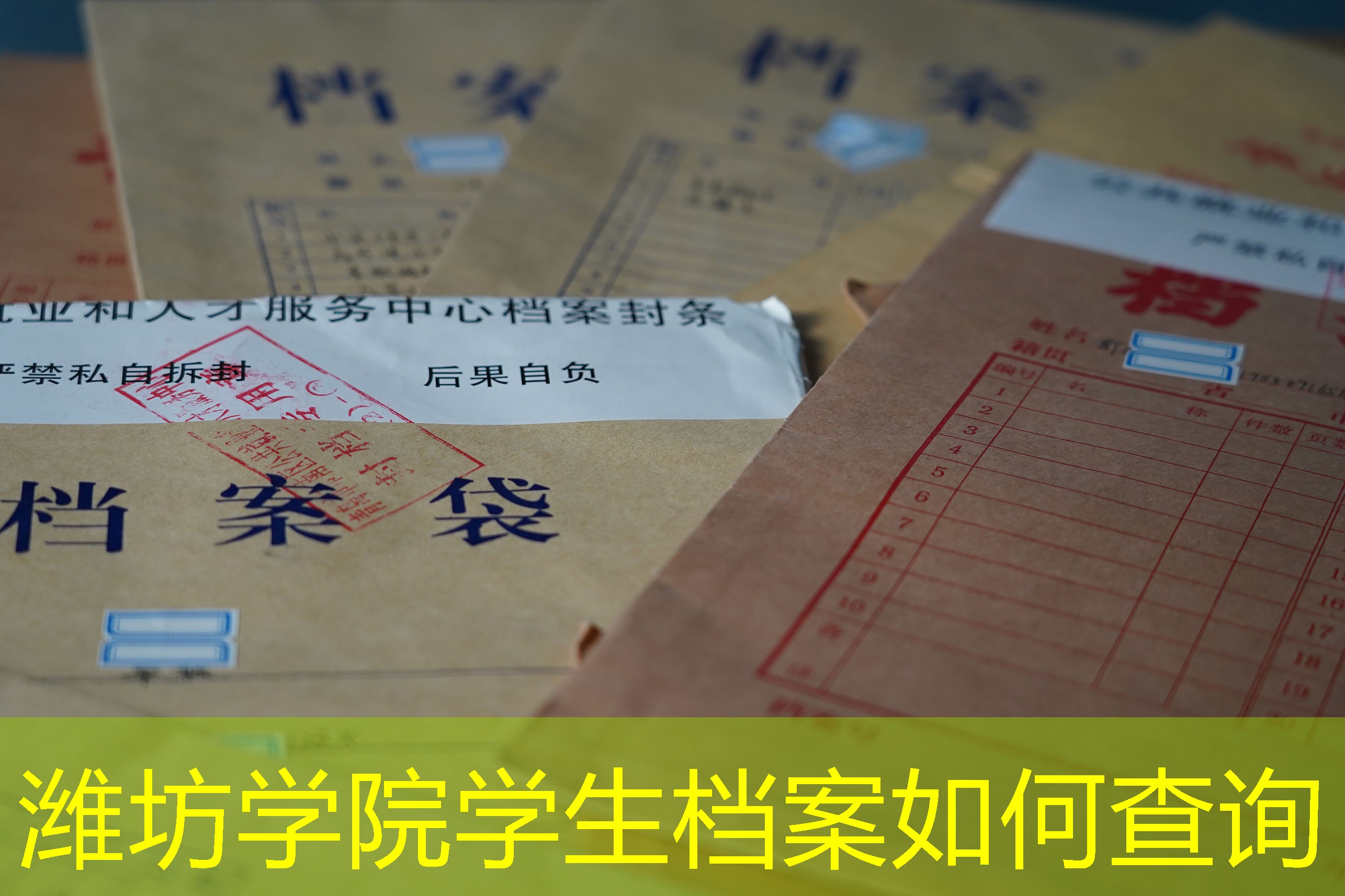档案查询