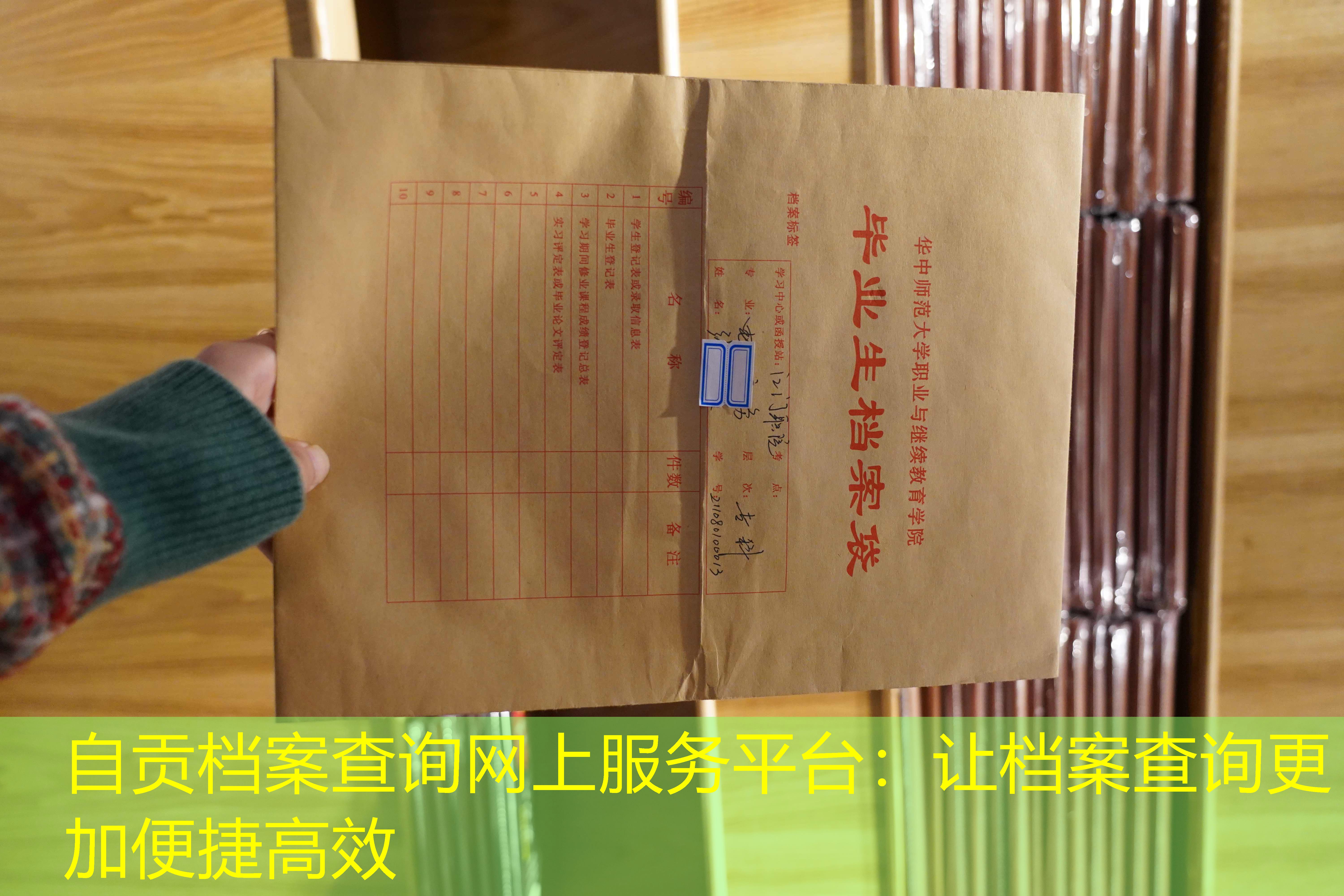 档案查询