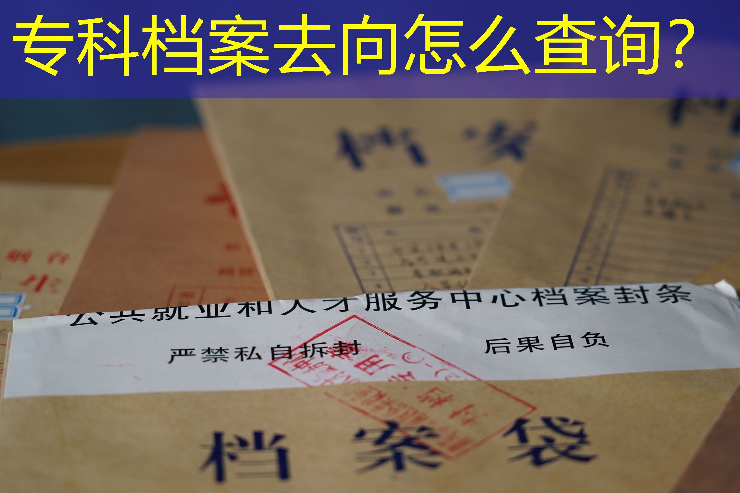 档案查询
