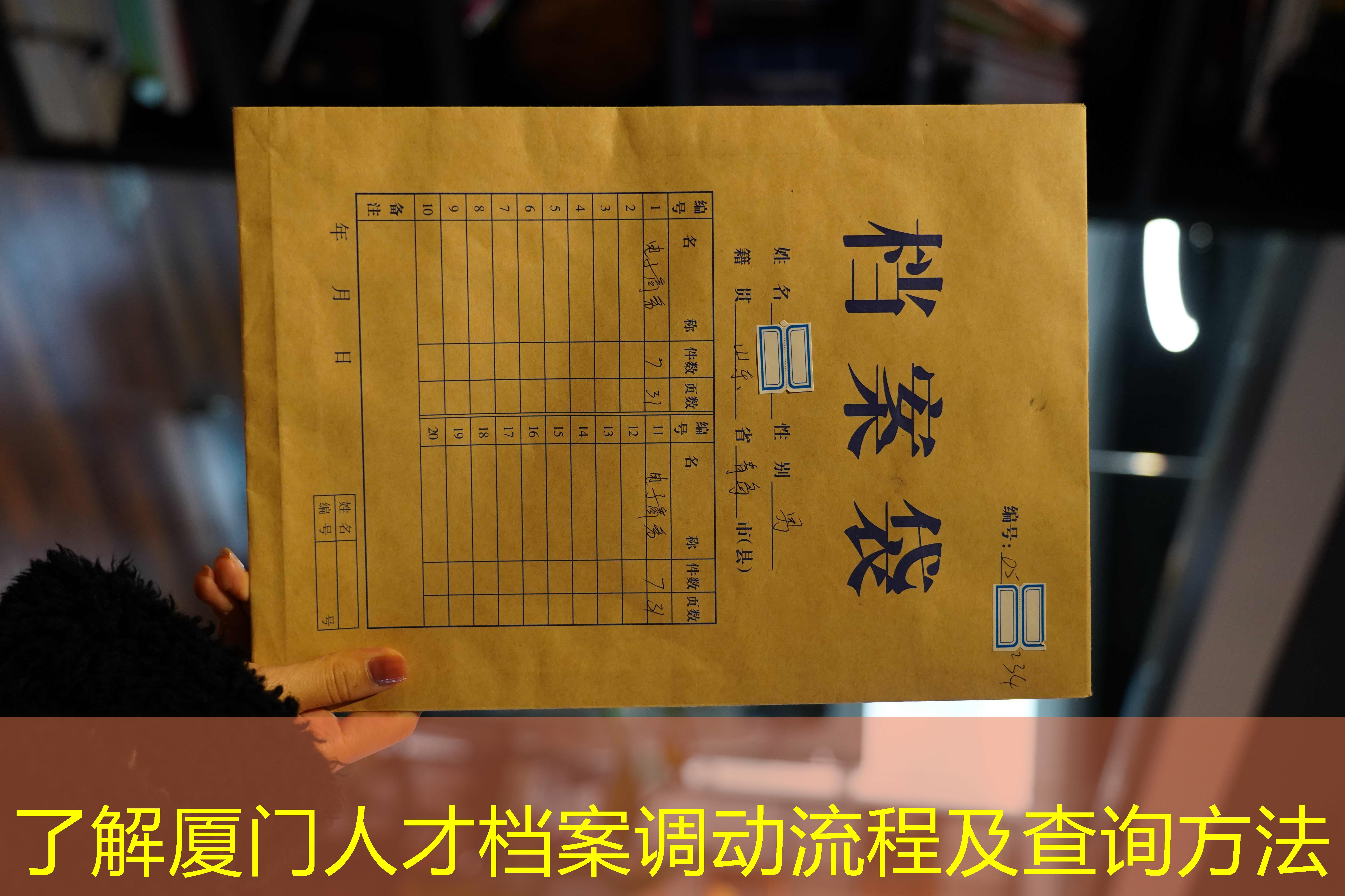 档案查询
