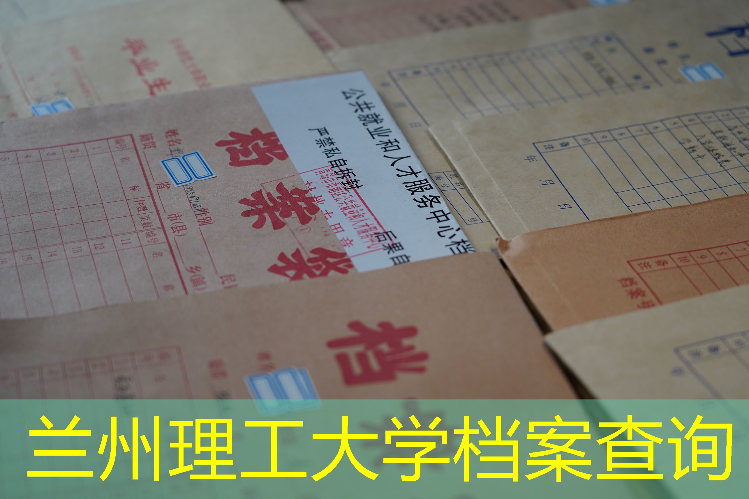 档案查询