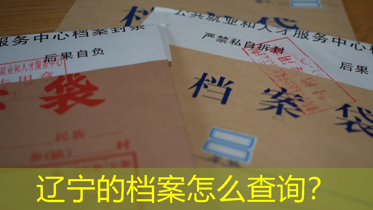 档案查询