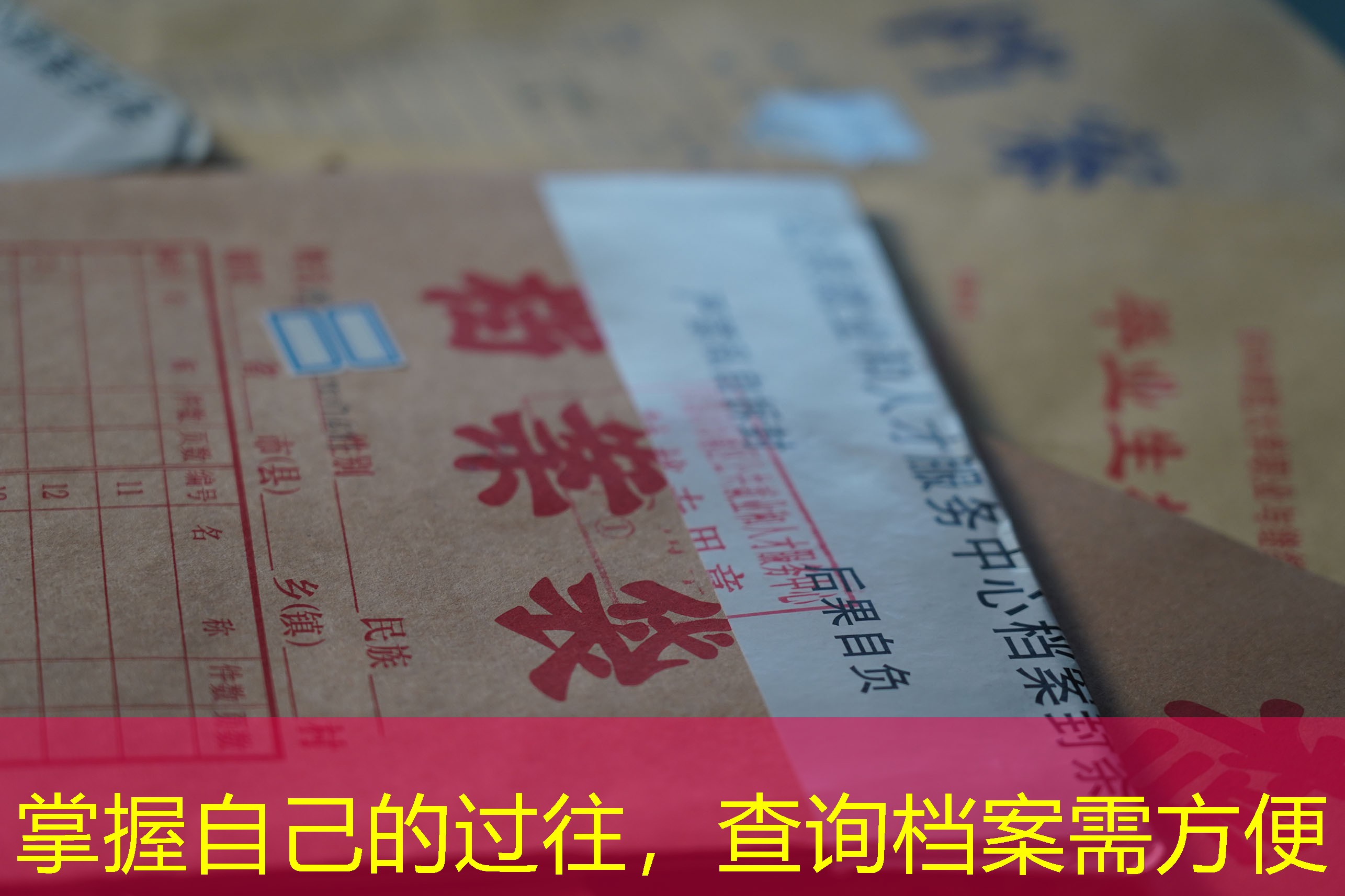 档案查询