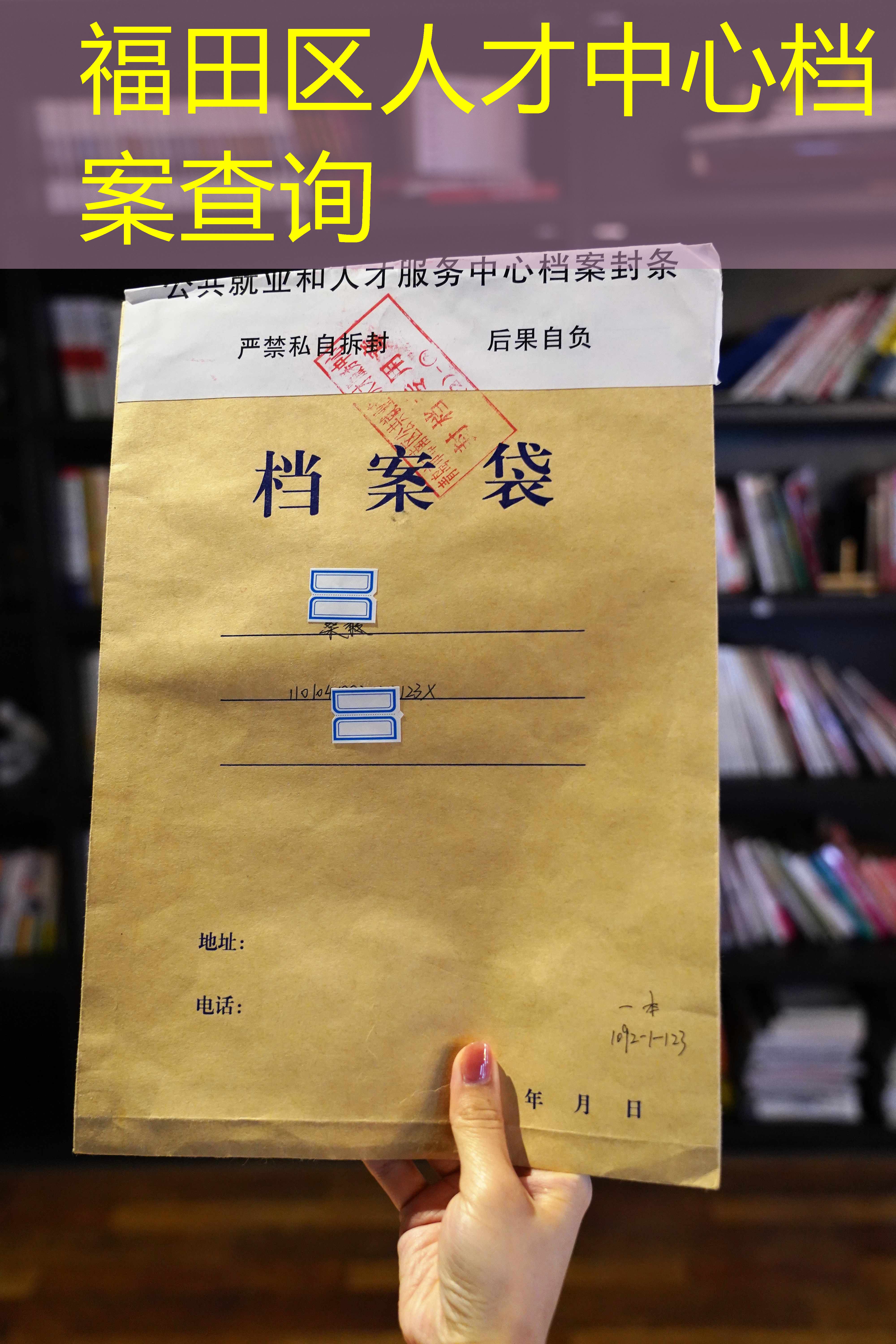 档案查询