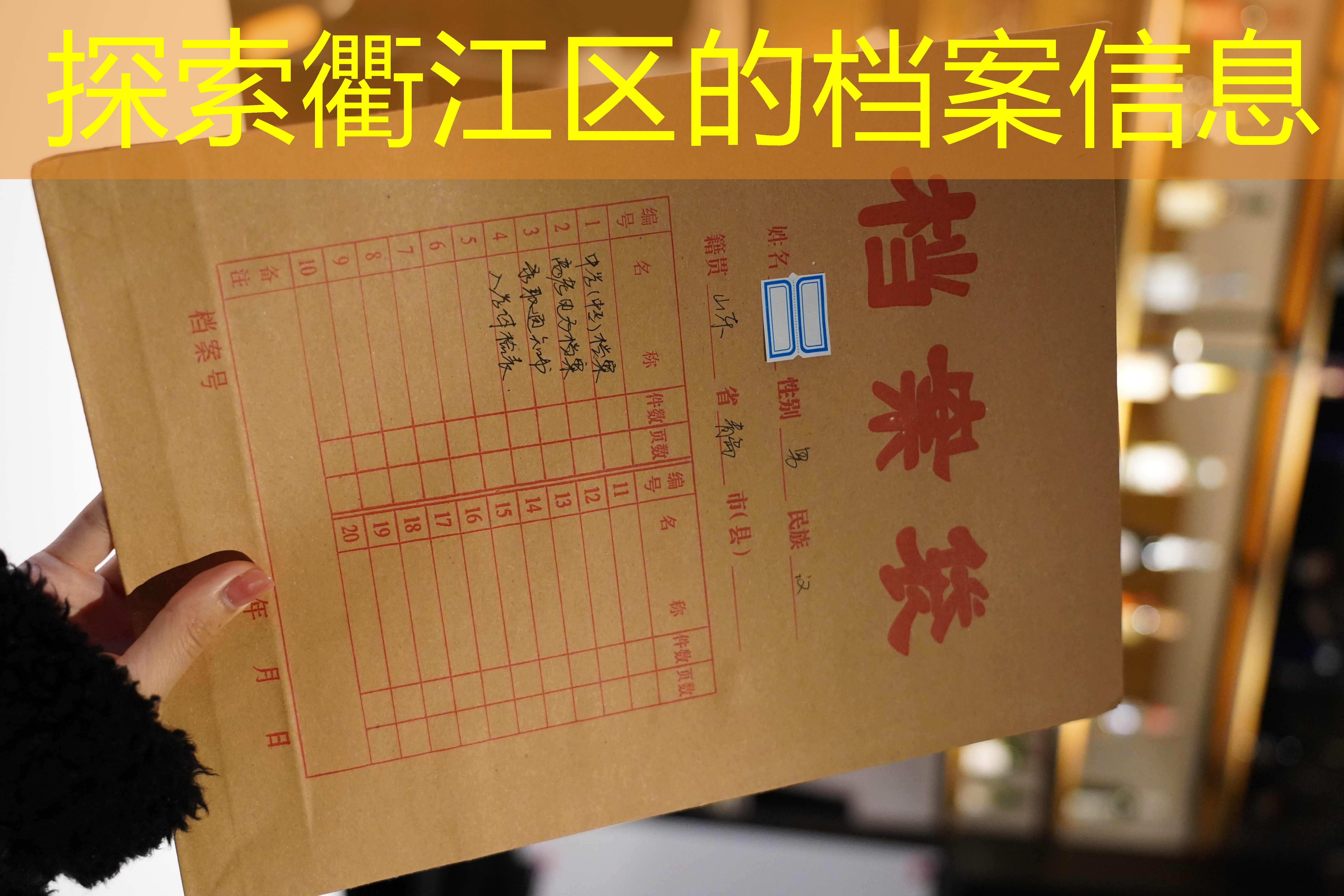 档案查询