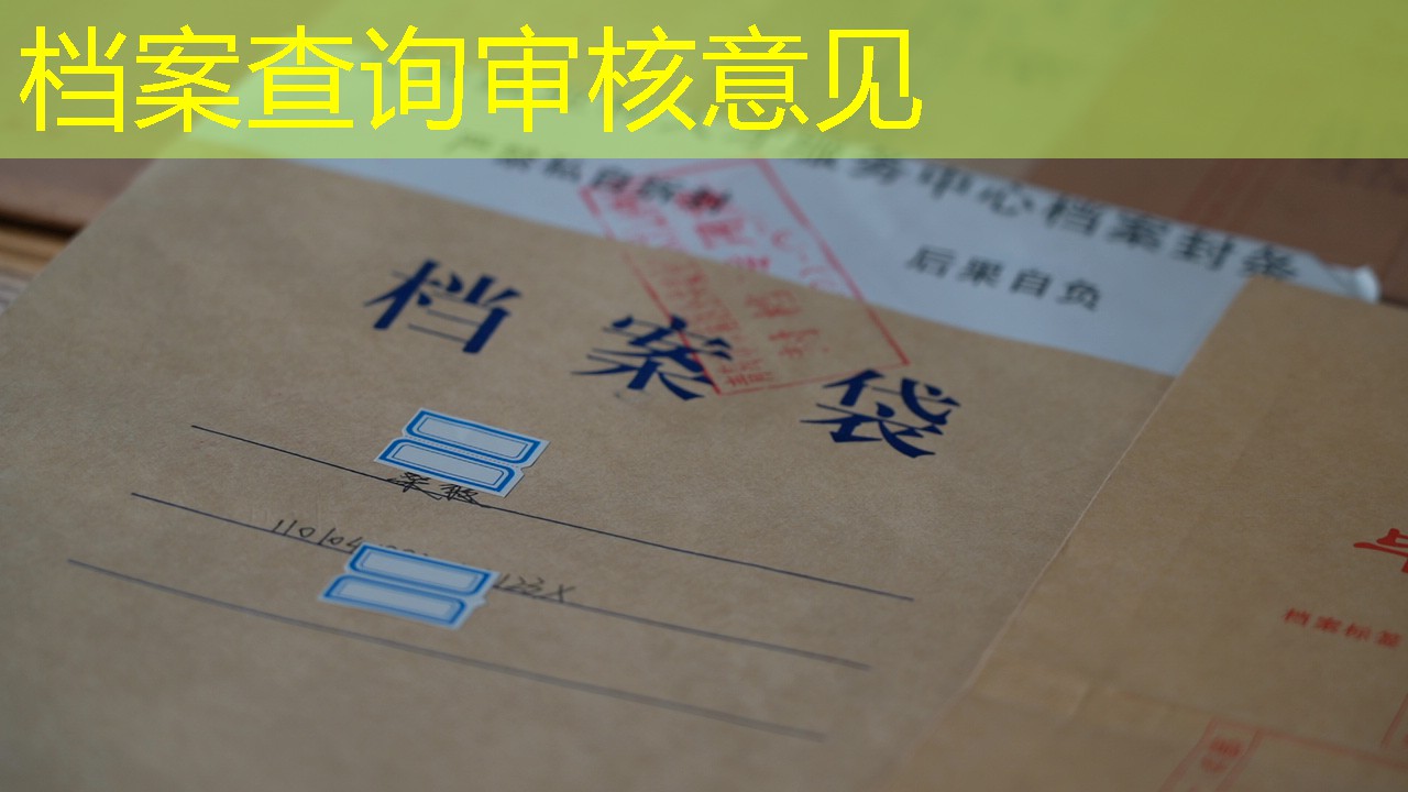 档案查询