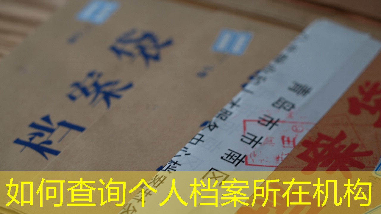 档案查询