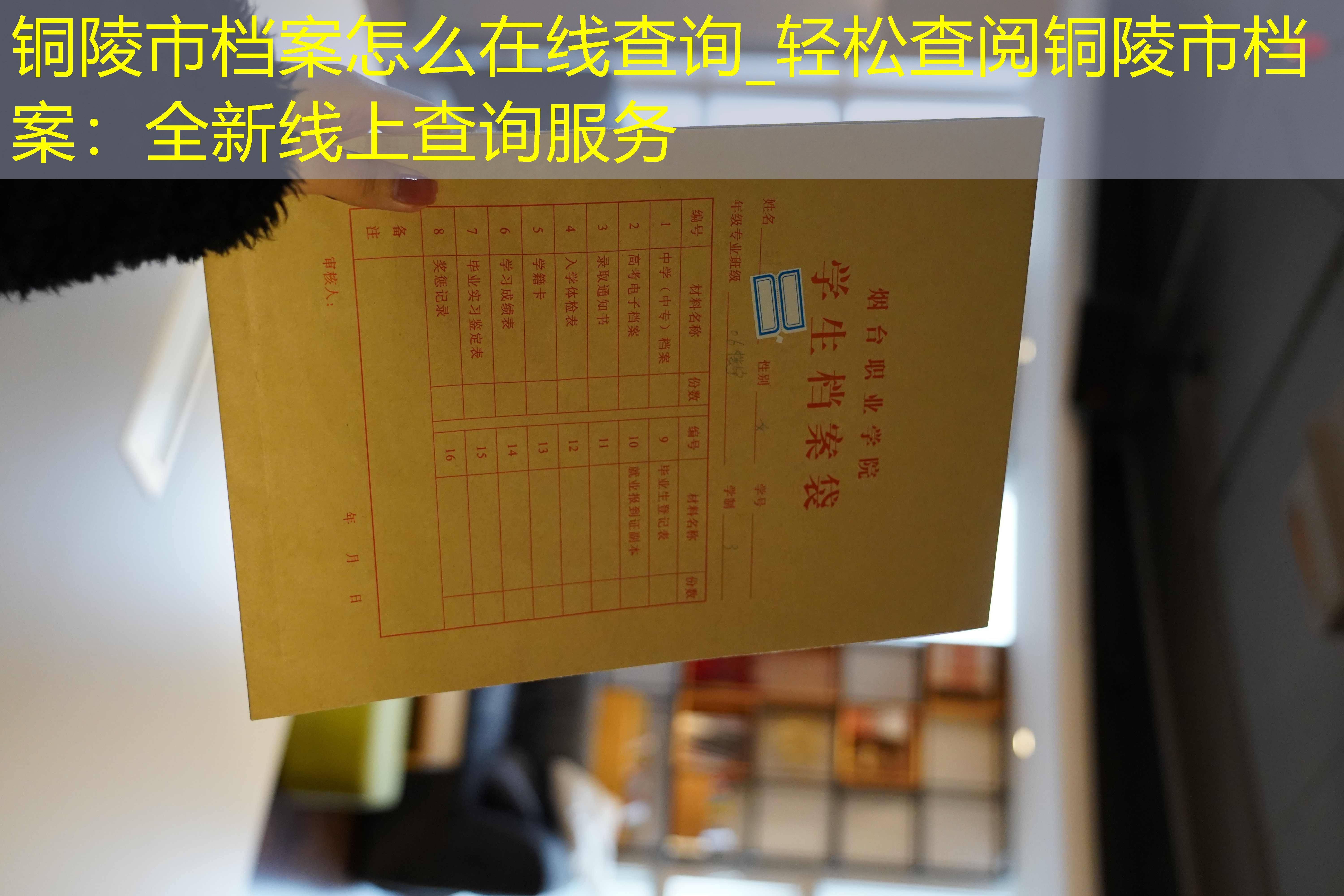 档案查询