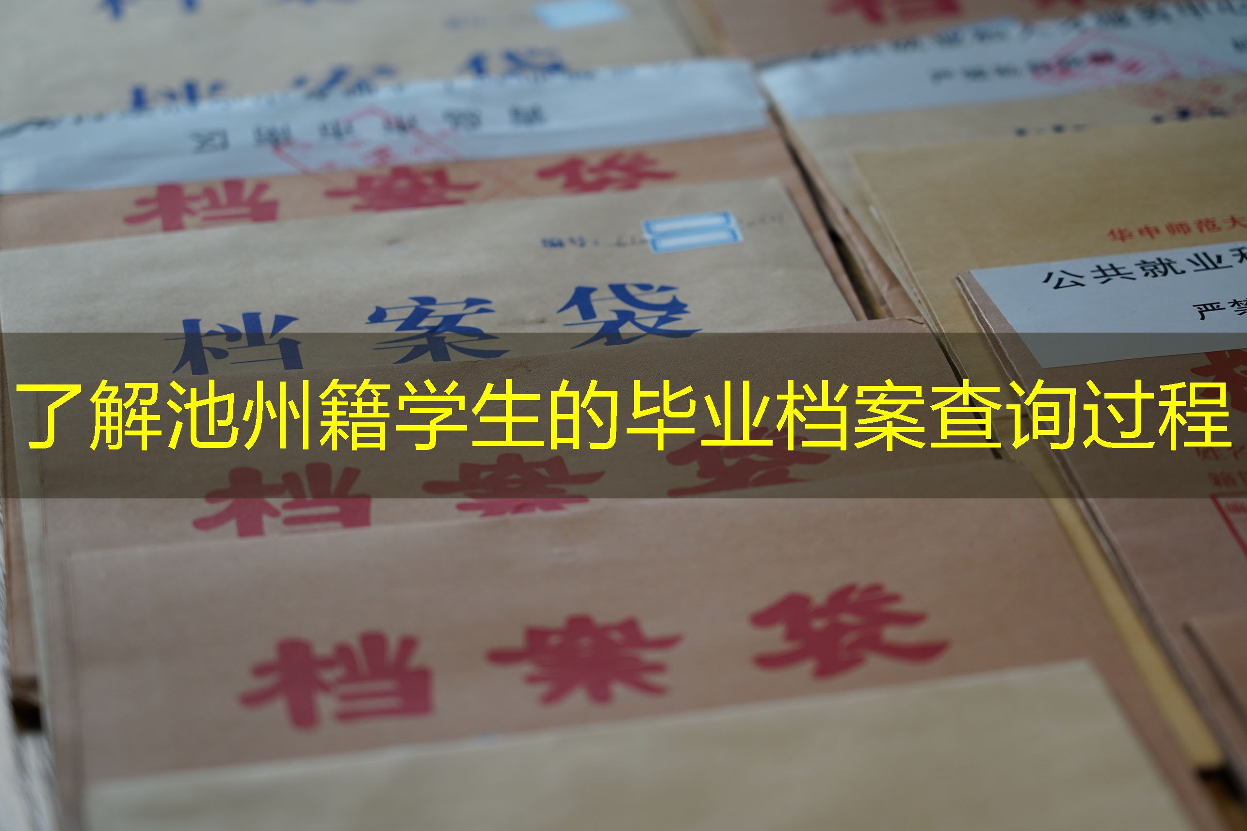 档案查询