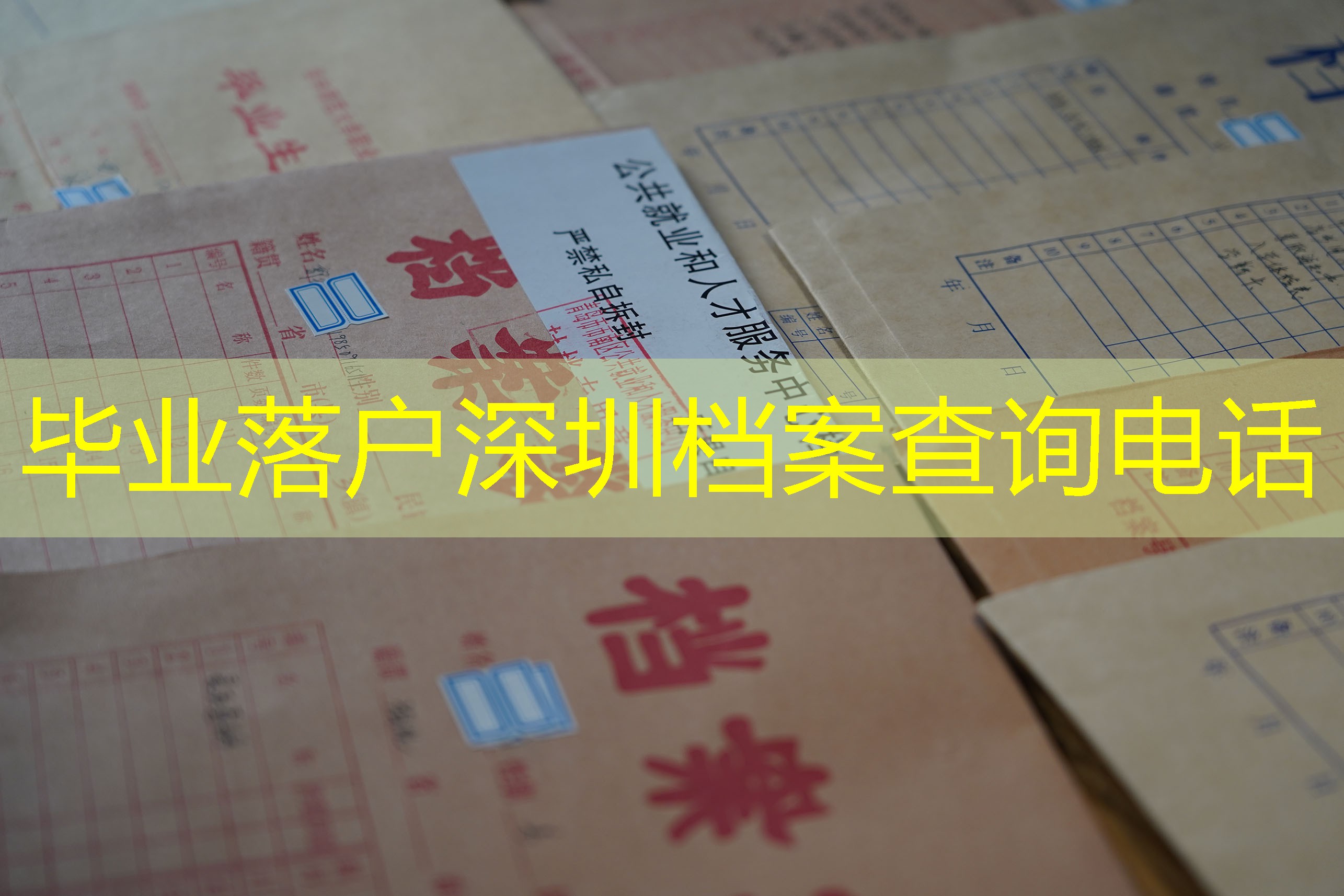 档案查询