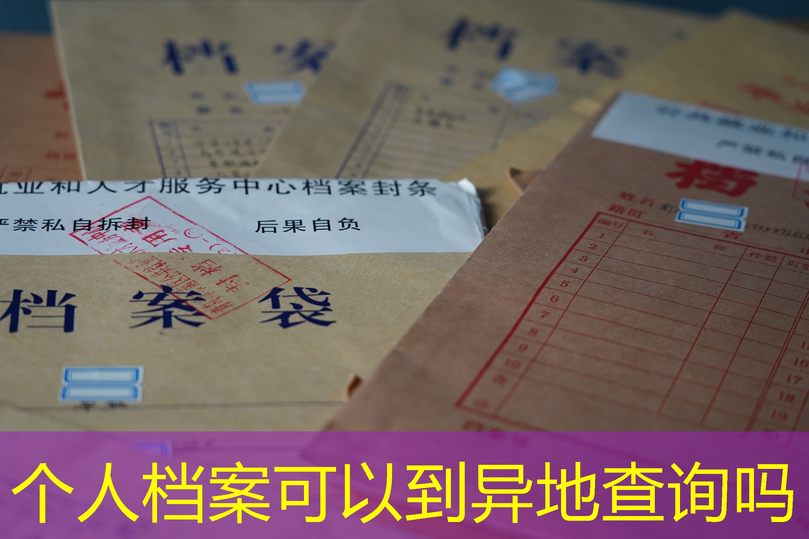 档案查询