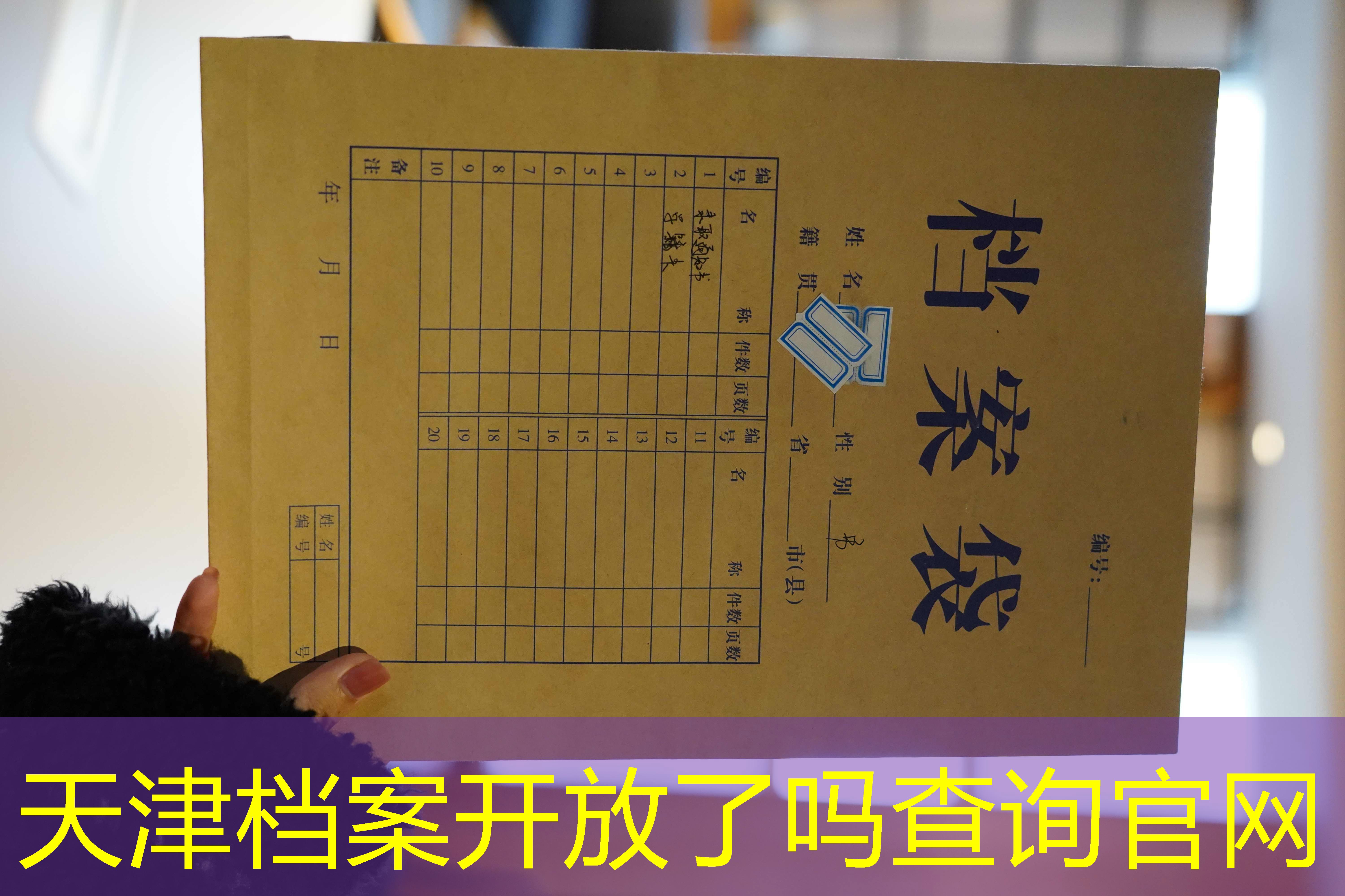 档案查询
