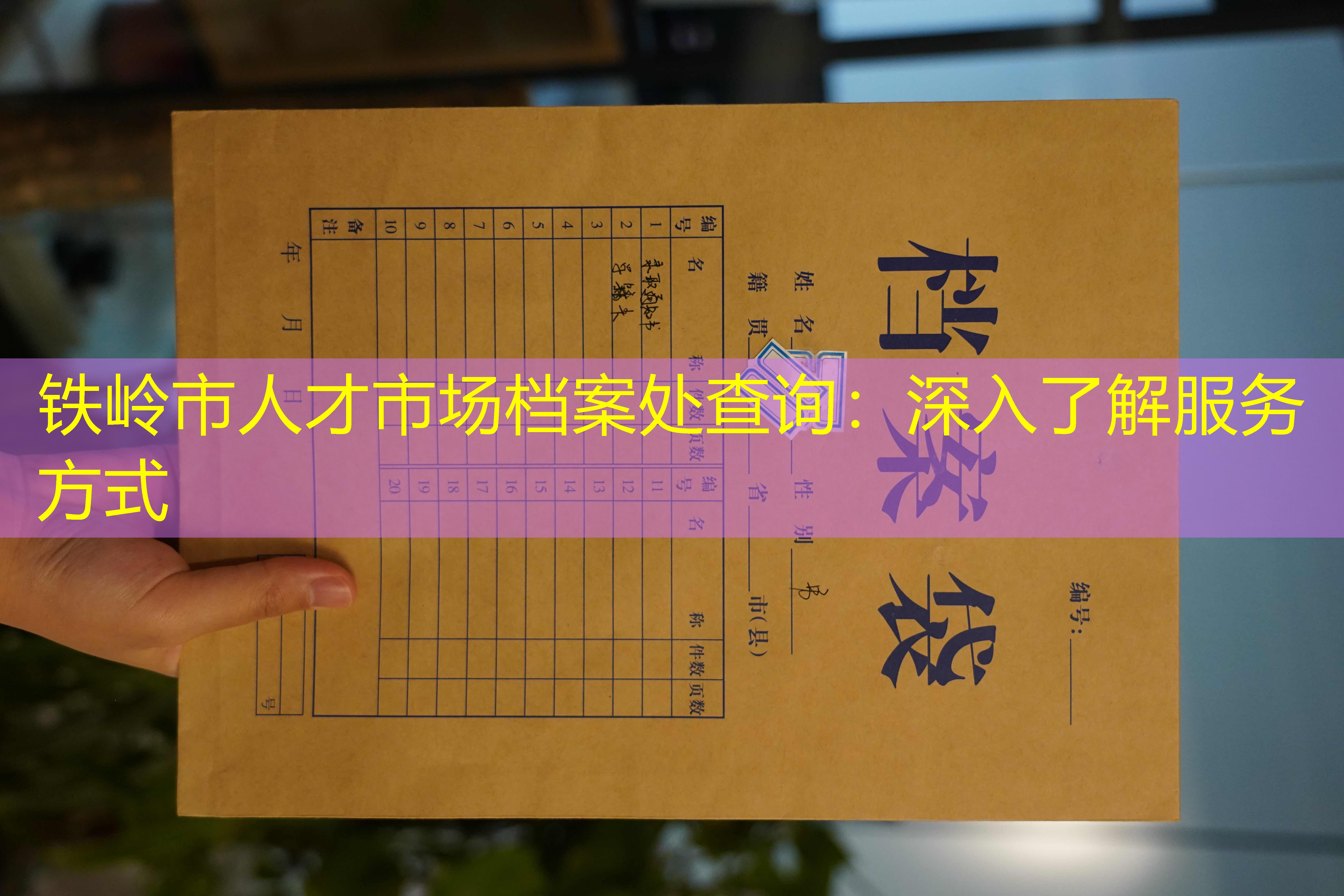 档案查询