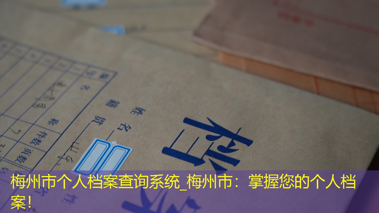 档案查询