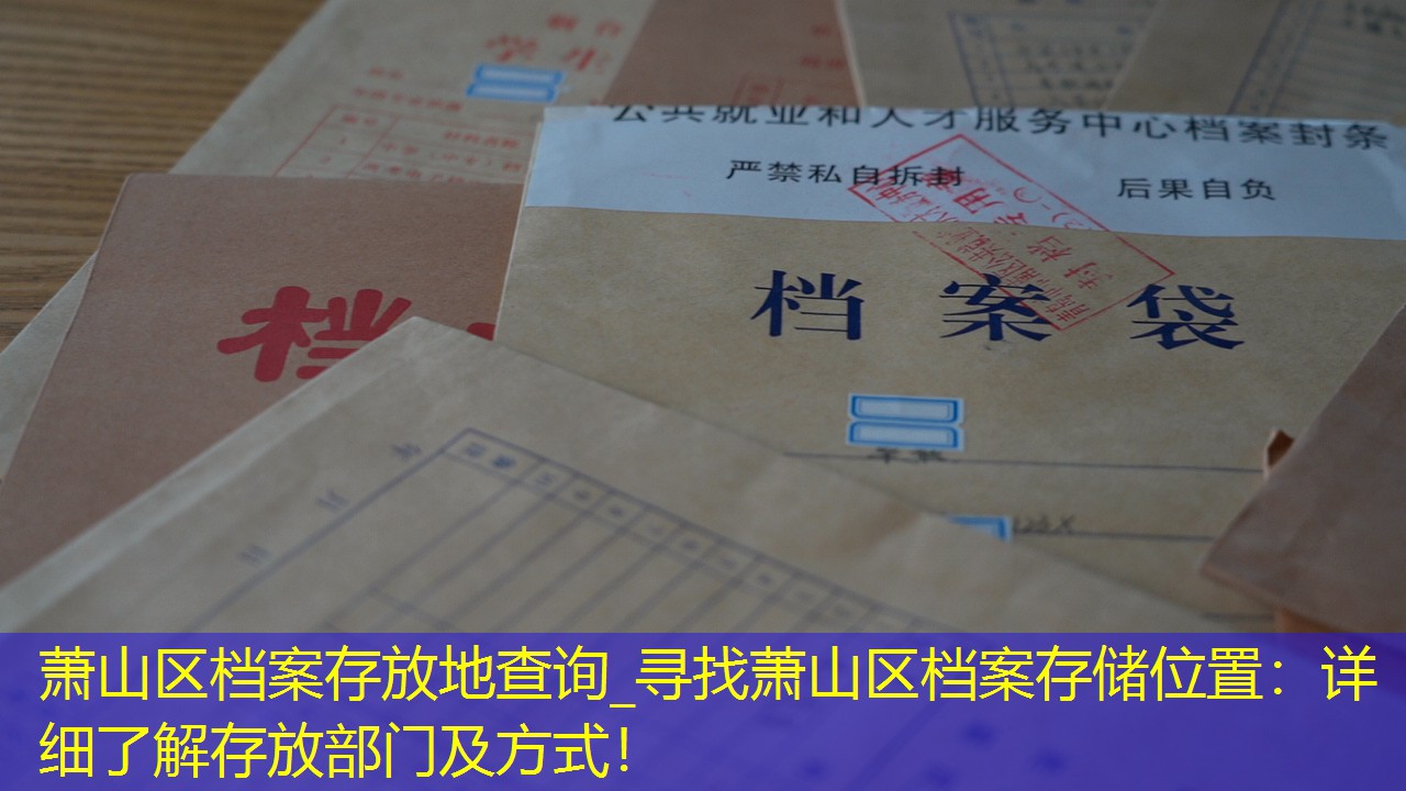 档案查询
