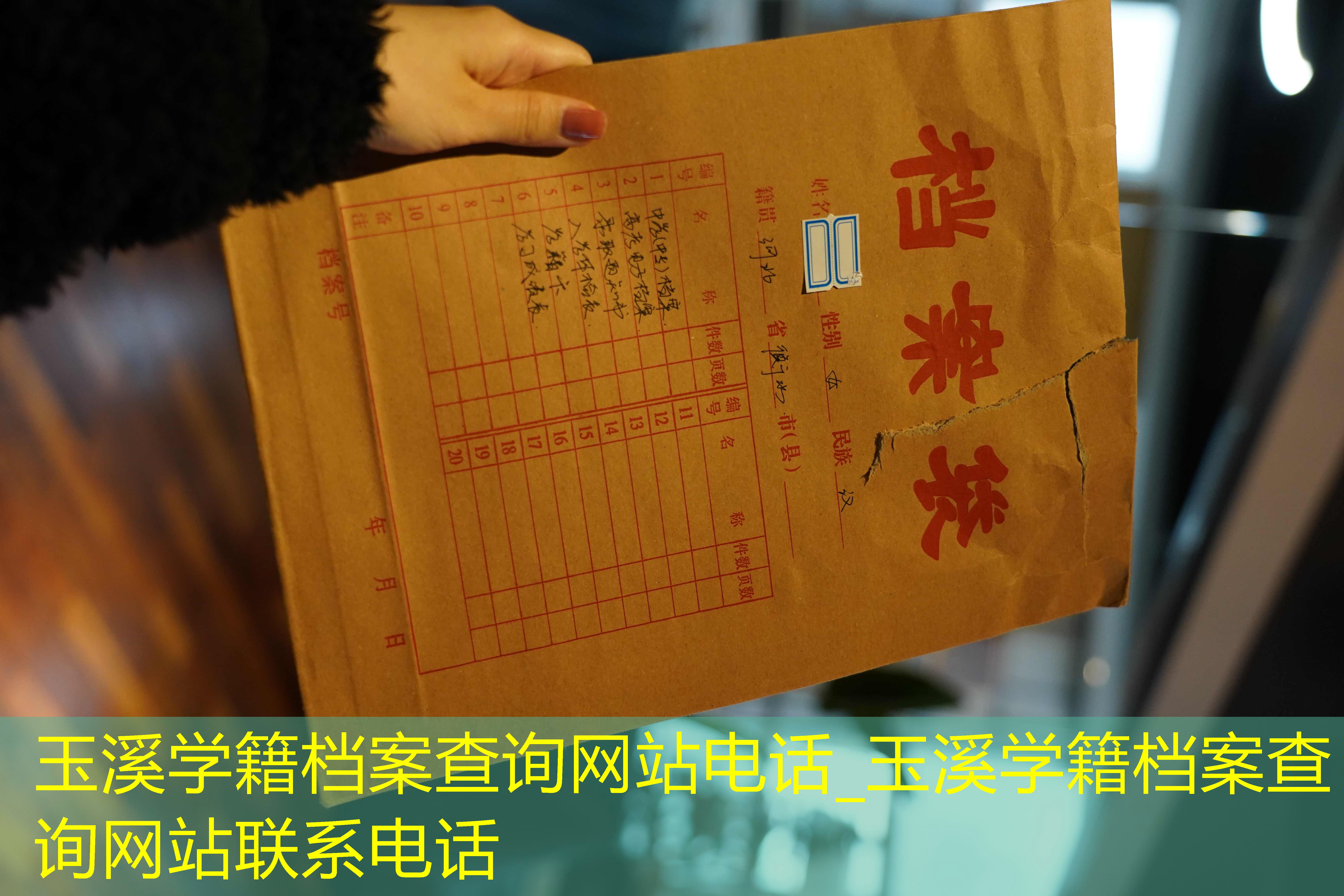 档案查询