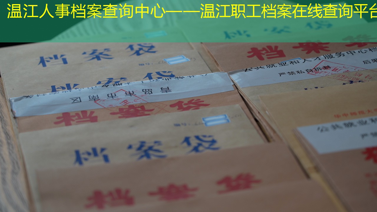 档案查询