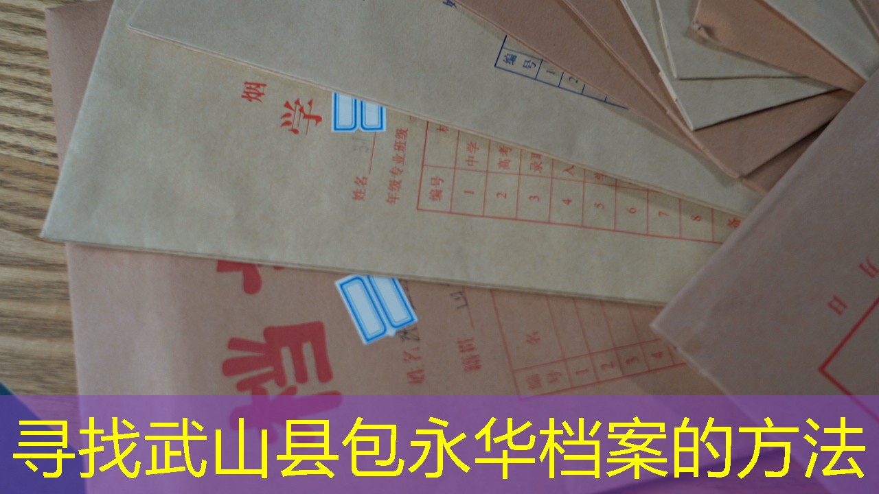 档案查询