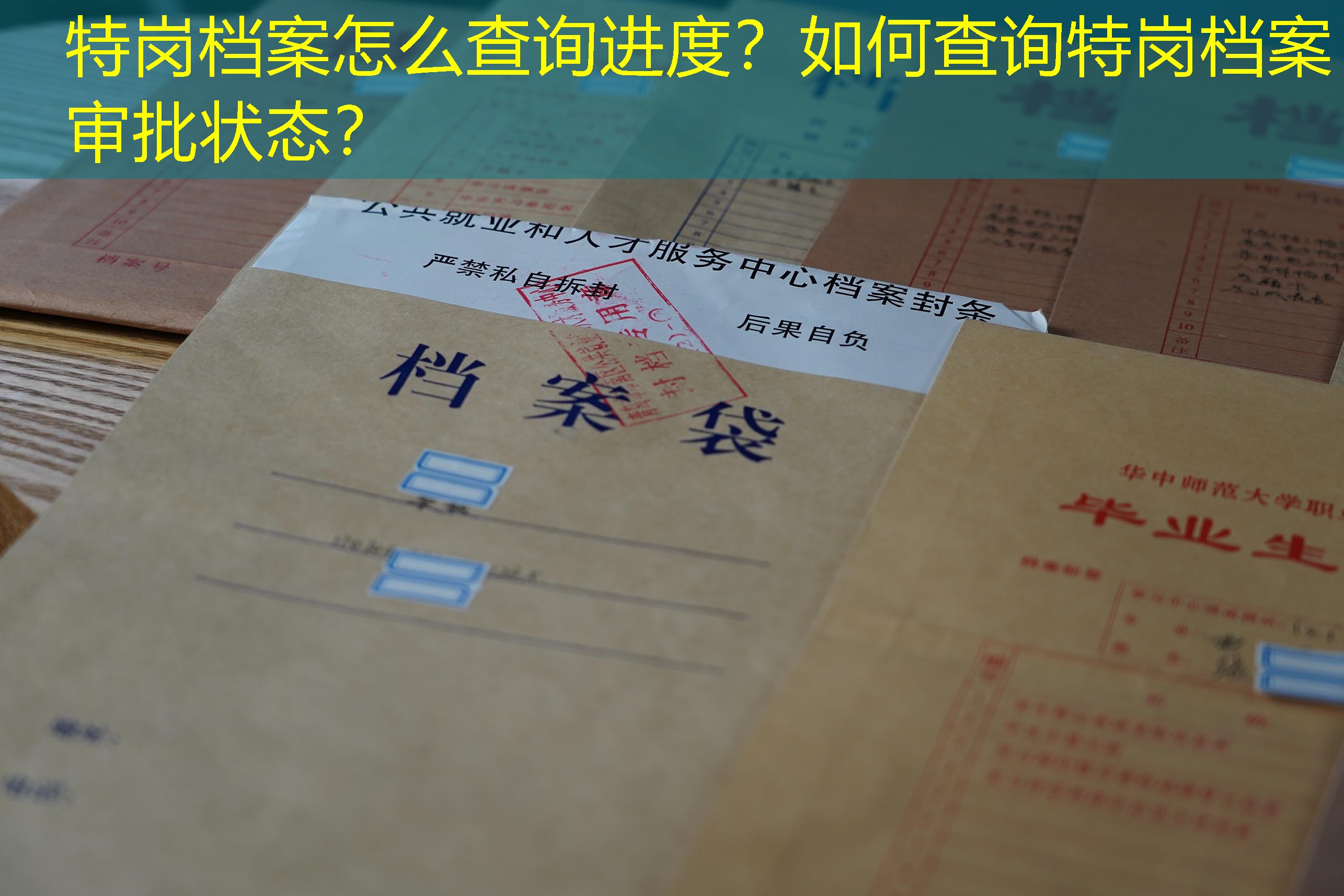 档案查询