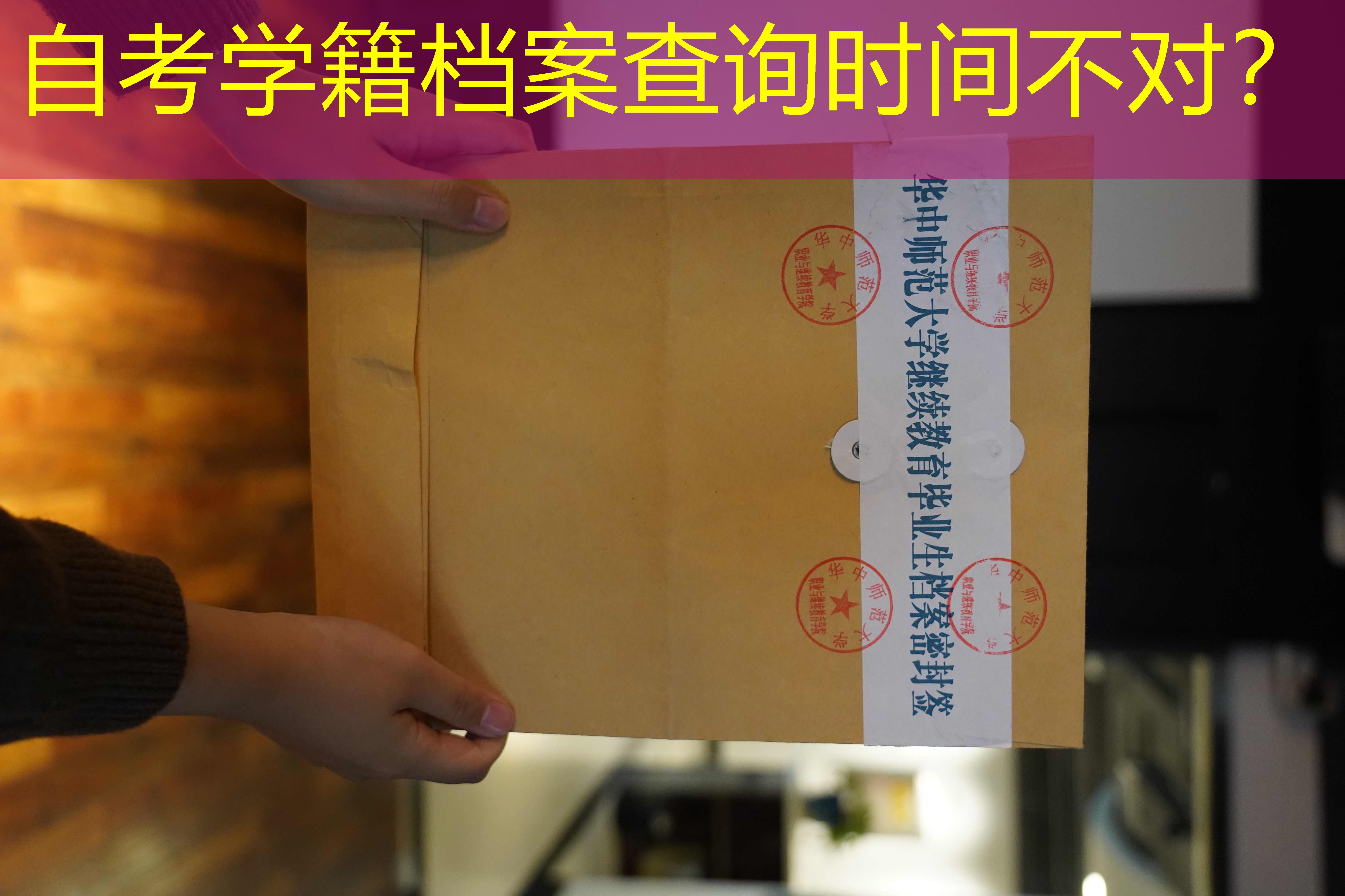 档案查询