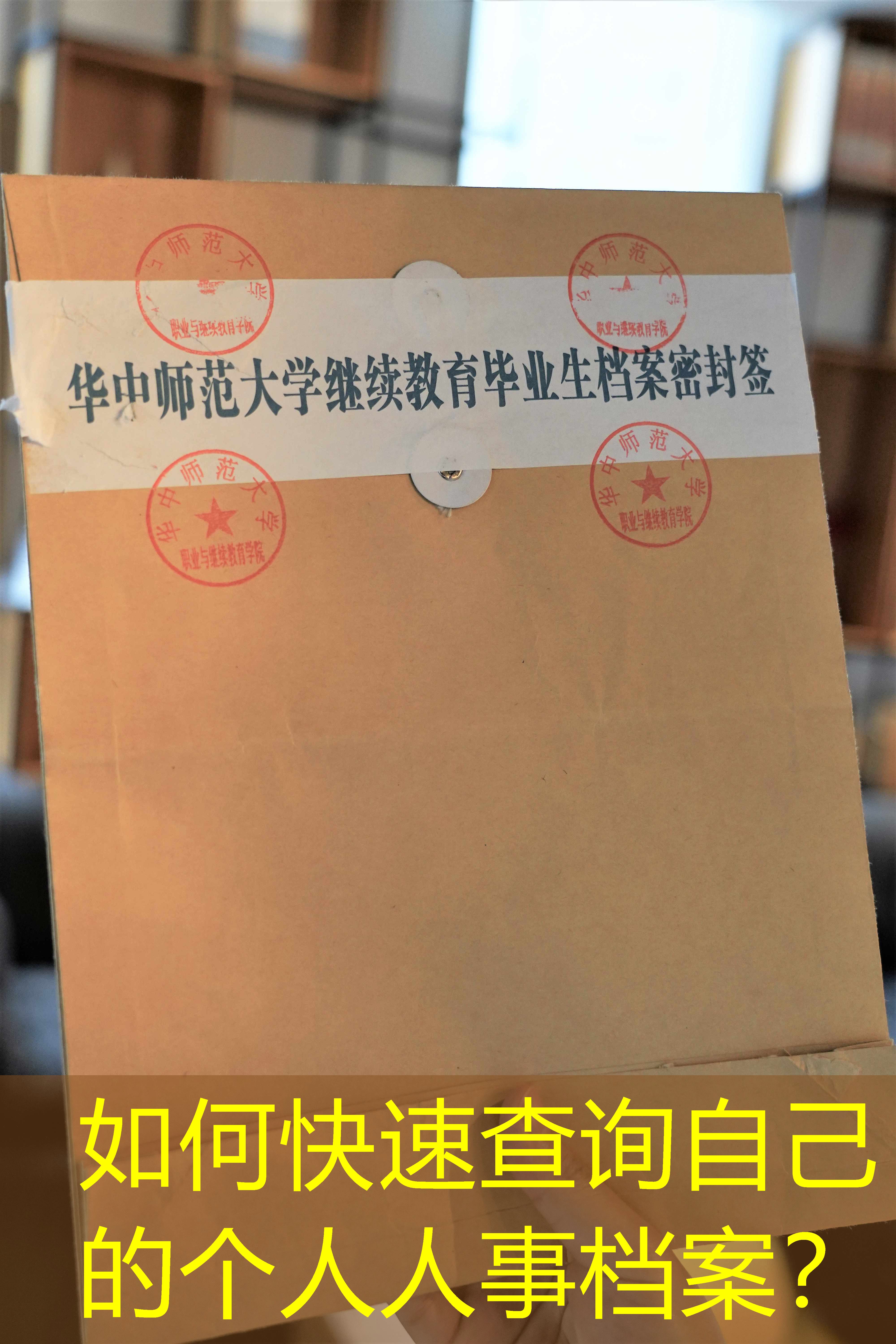 档案查询