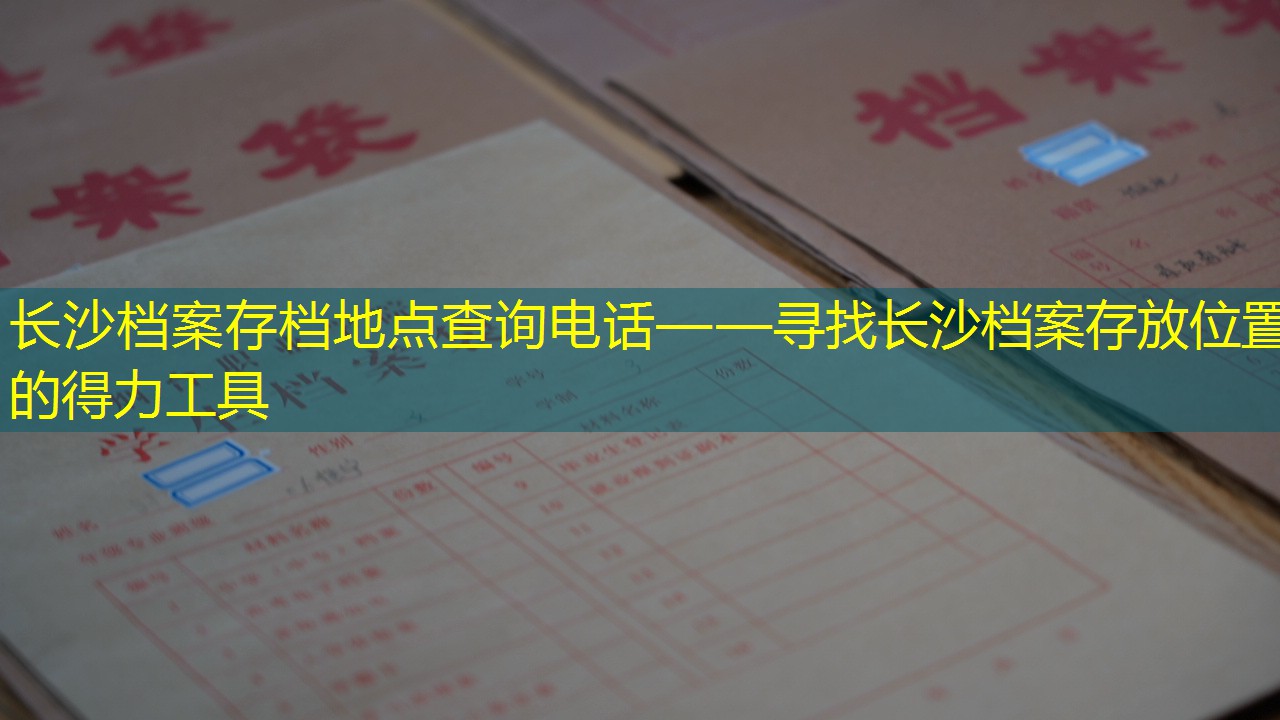 档案查询