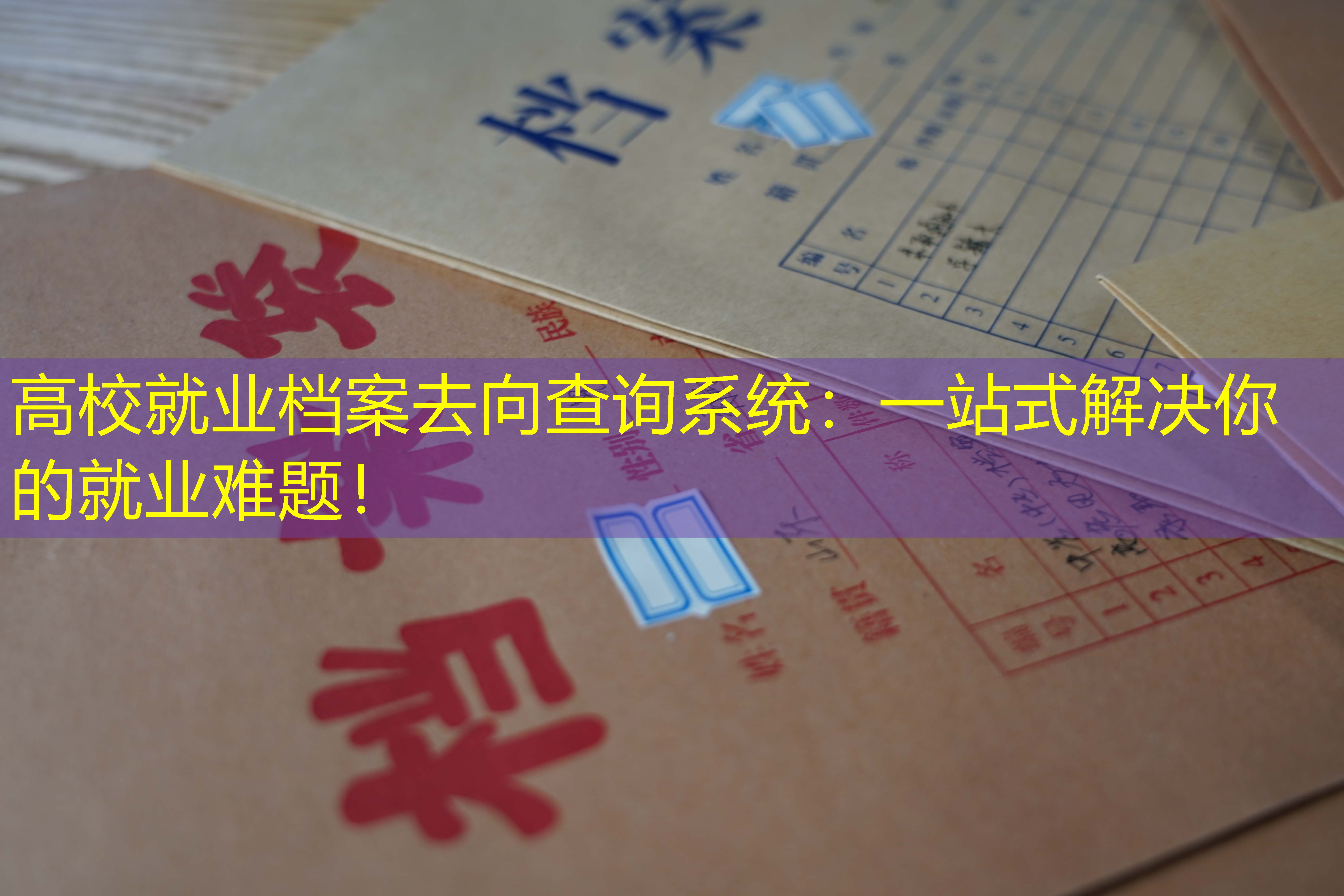 档案查询