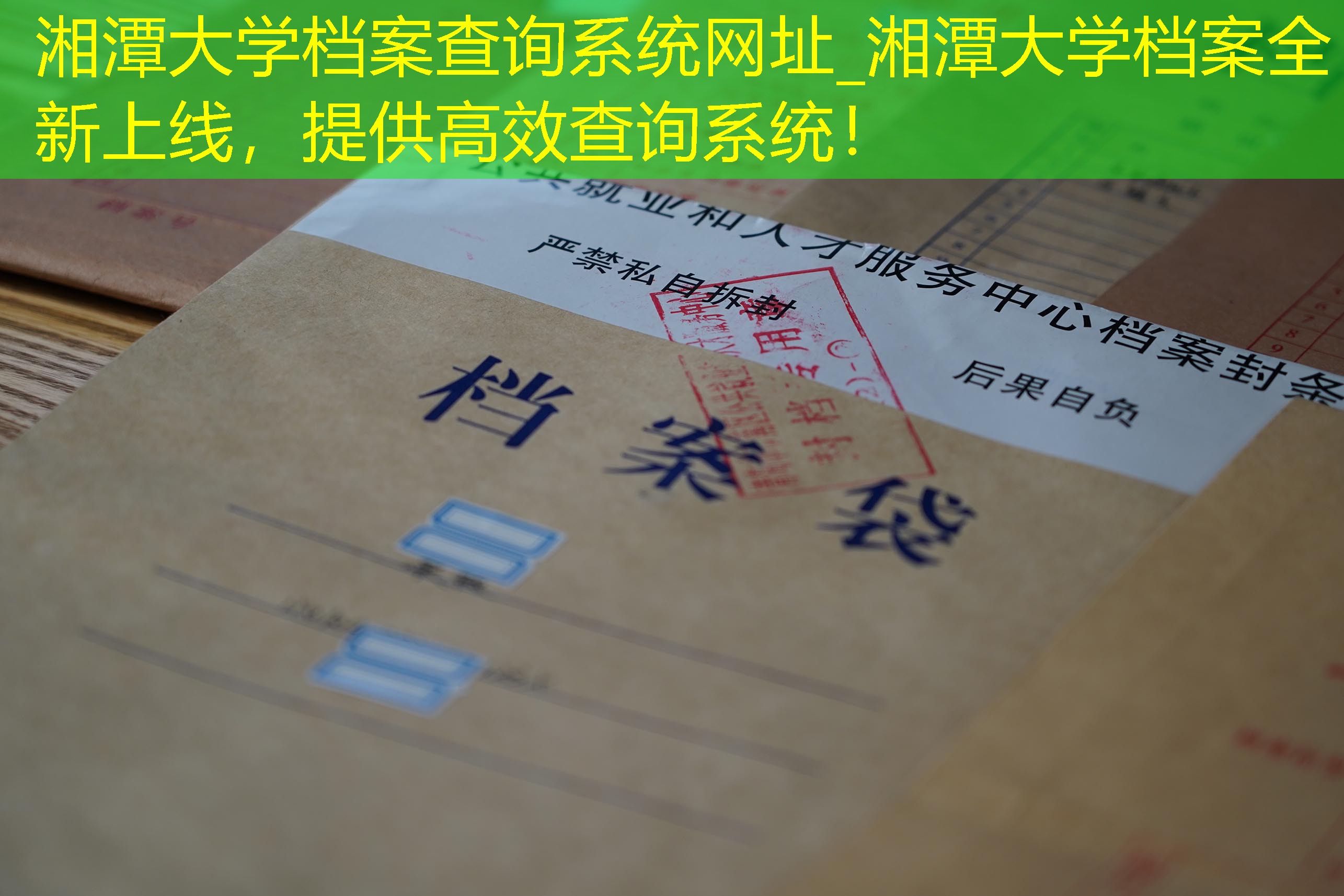 档案查询
