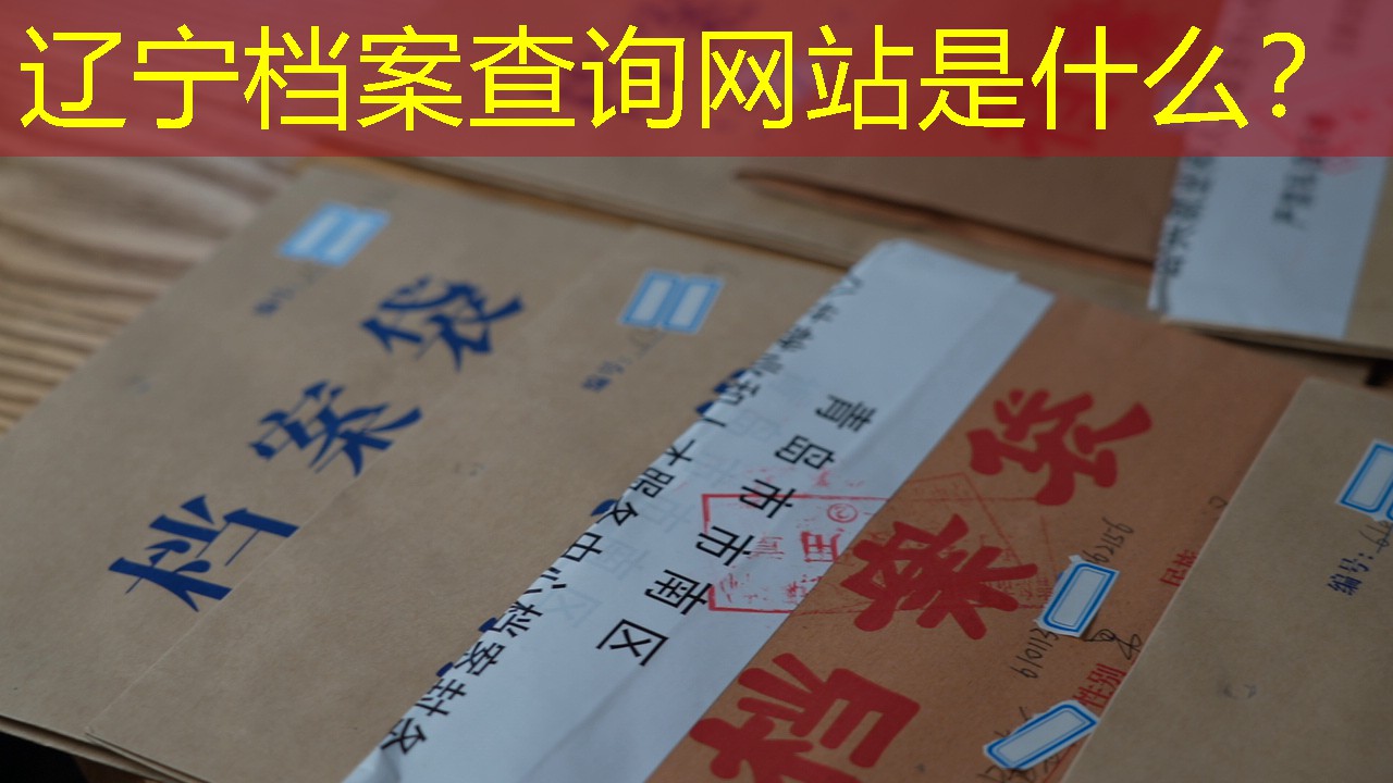档案查询