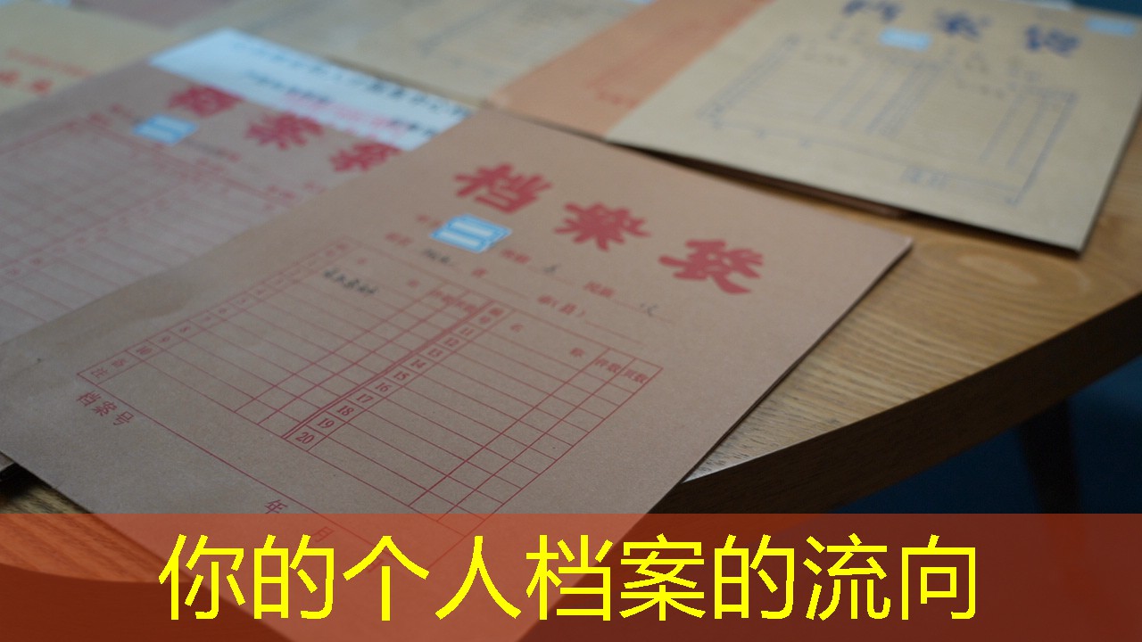 档案查询
