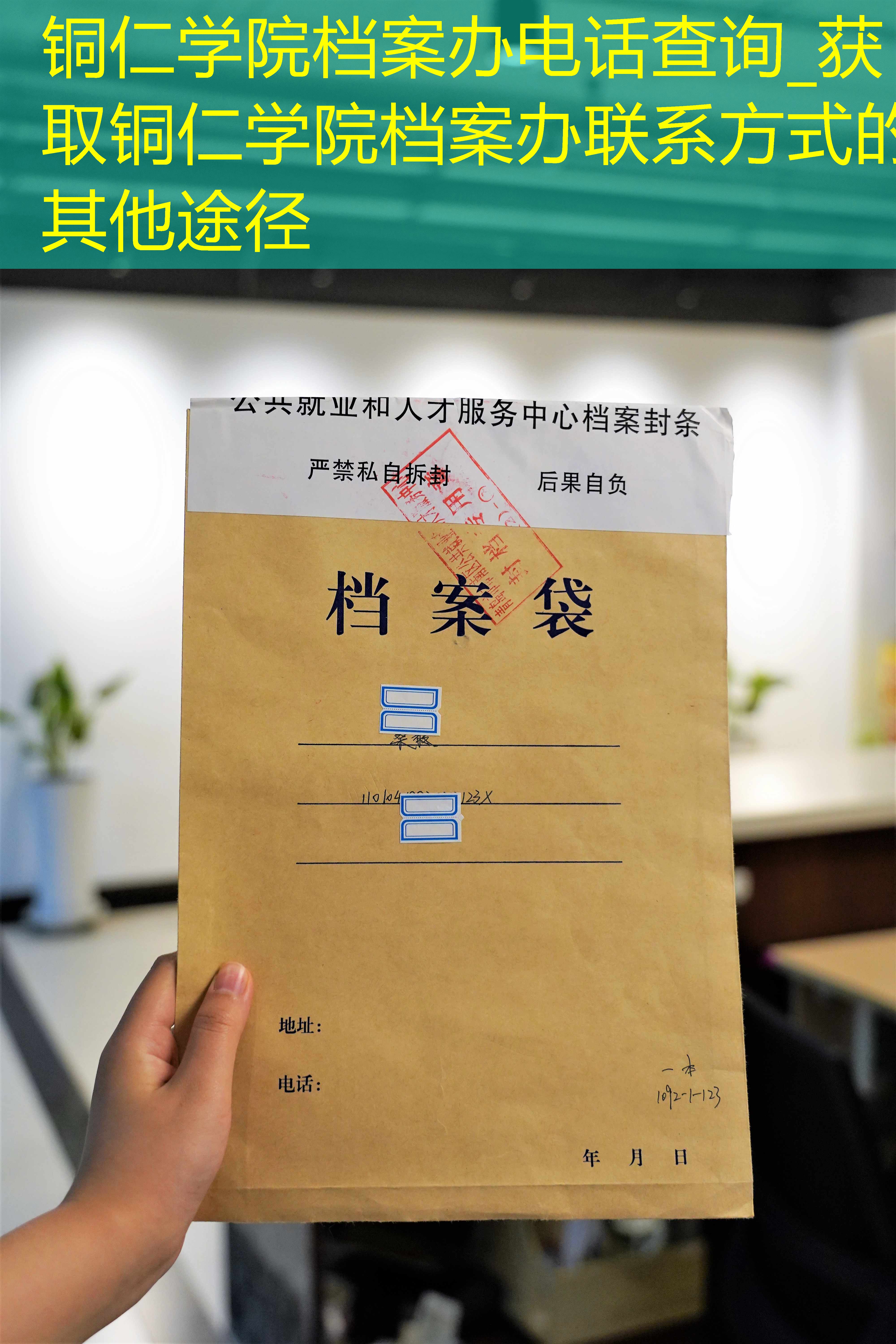 档案查询